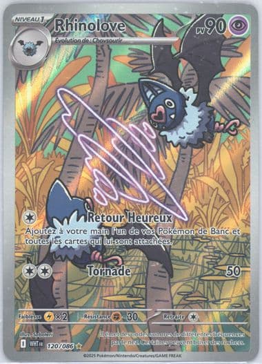 Swoobat Illustration Rare (120) 2025 Pokemon French Wht FR-White Flare