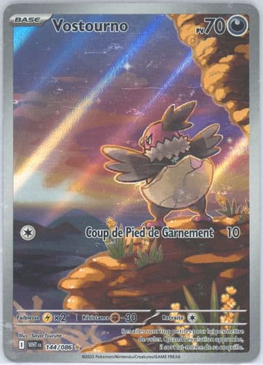 Vullaby Illustration Rare (144) 2025 Pokemon French Wht FR-White Flare