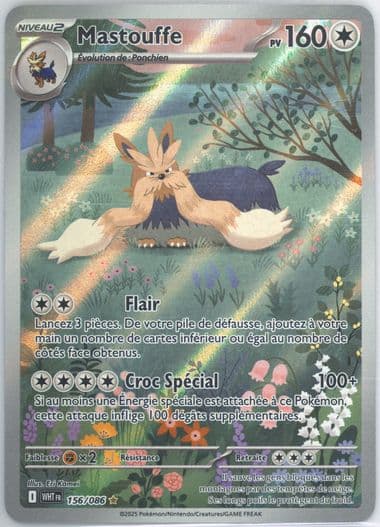 Stoutland Illustration Rare (156) 2025 Pokemon French Wht FR-White Flare