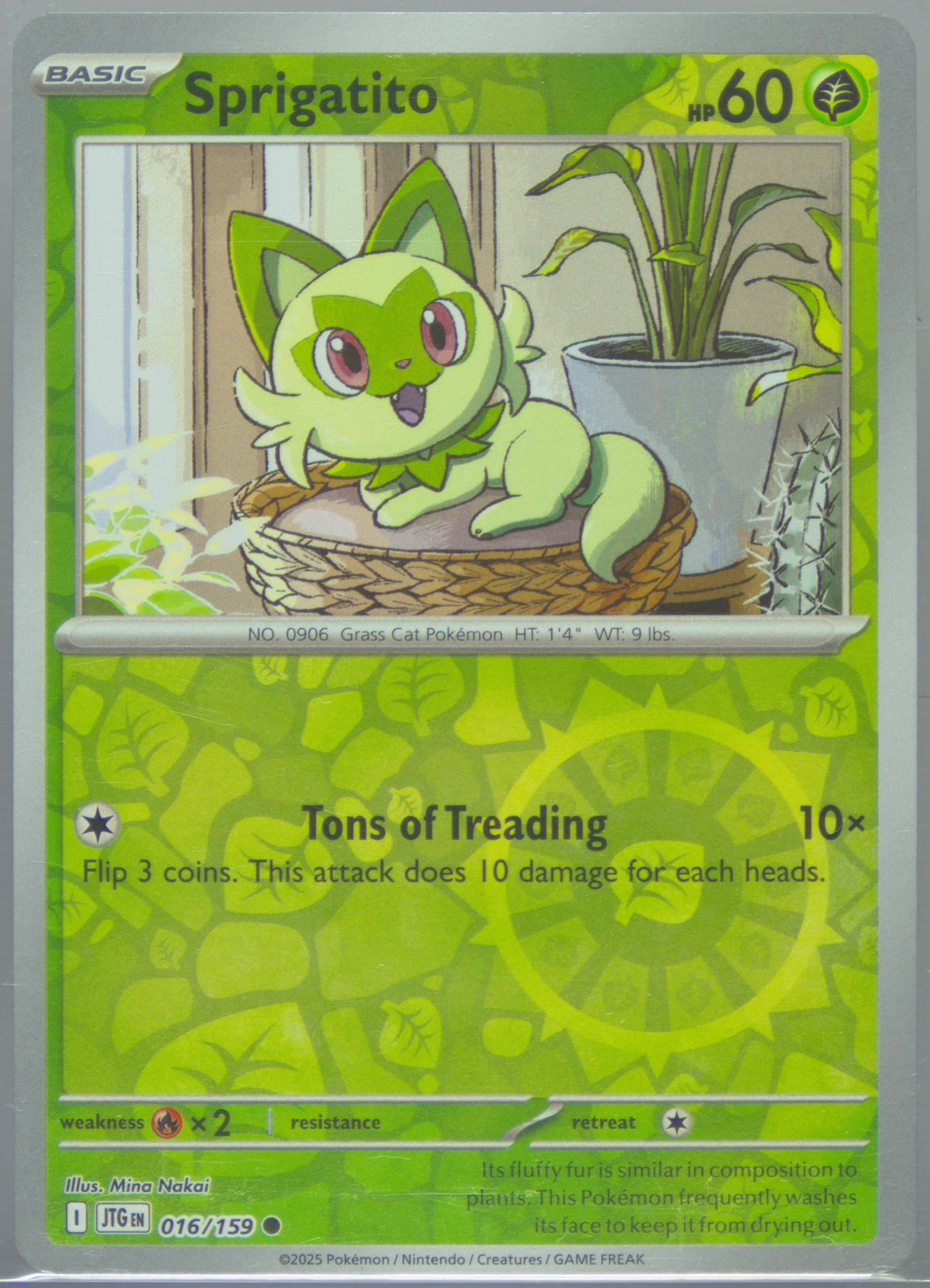 Sprigatito Reverse Holo (016) 2025 Pokemon Jtg EN-Journey Together