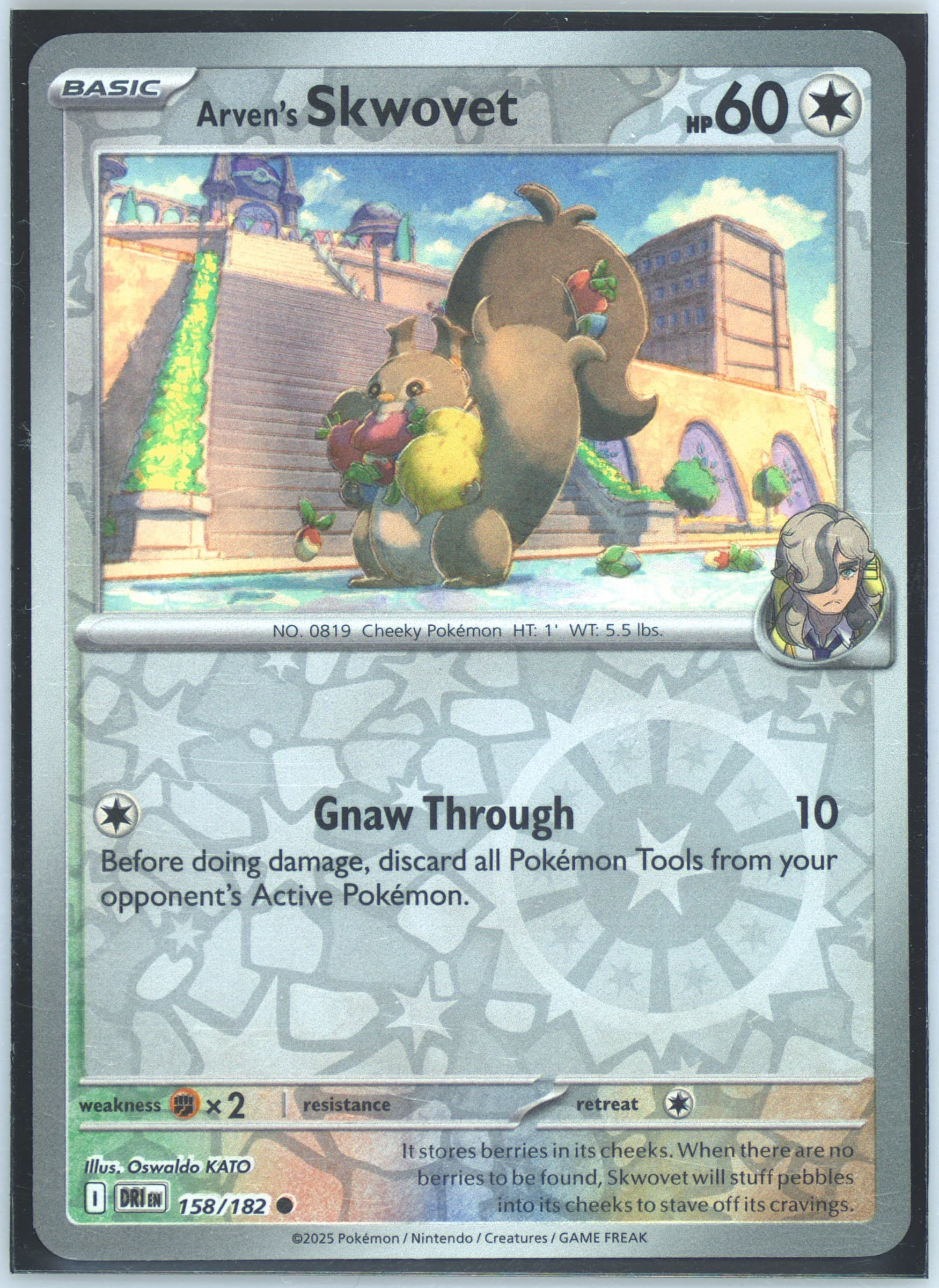 Arven's Skwovet Reverse Holo (158) 2025 Pokemon Dri EN-Destined Rivals