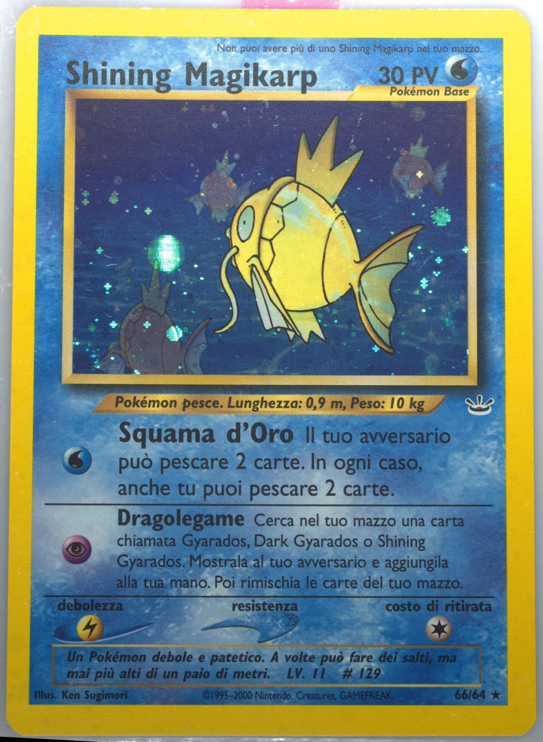 Shining Magikarp-Holo (66) 2001 Pokemon Italian Neo Revelation