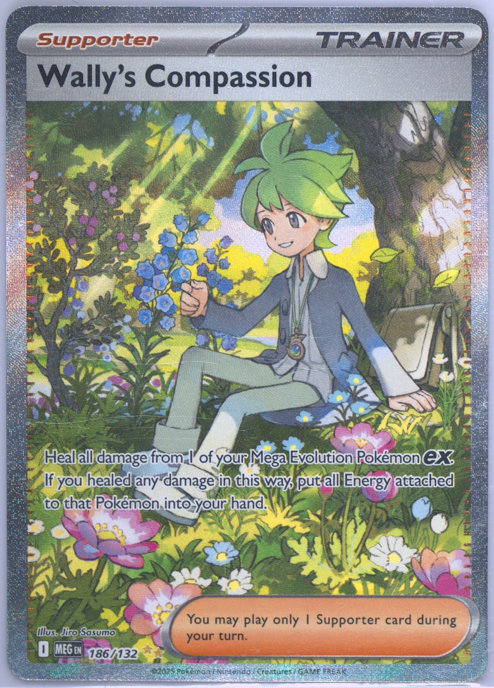 Wally's Compassion Special Illustration Rare (186) 2025 Pokemon Meg EN-Mega Evolution