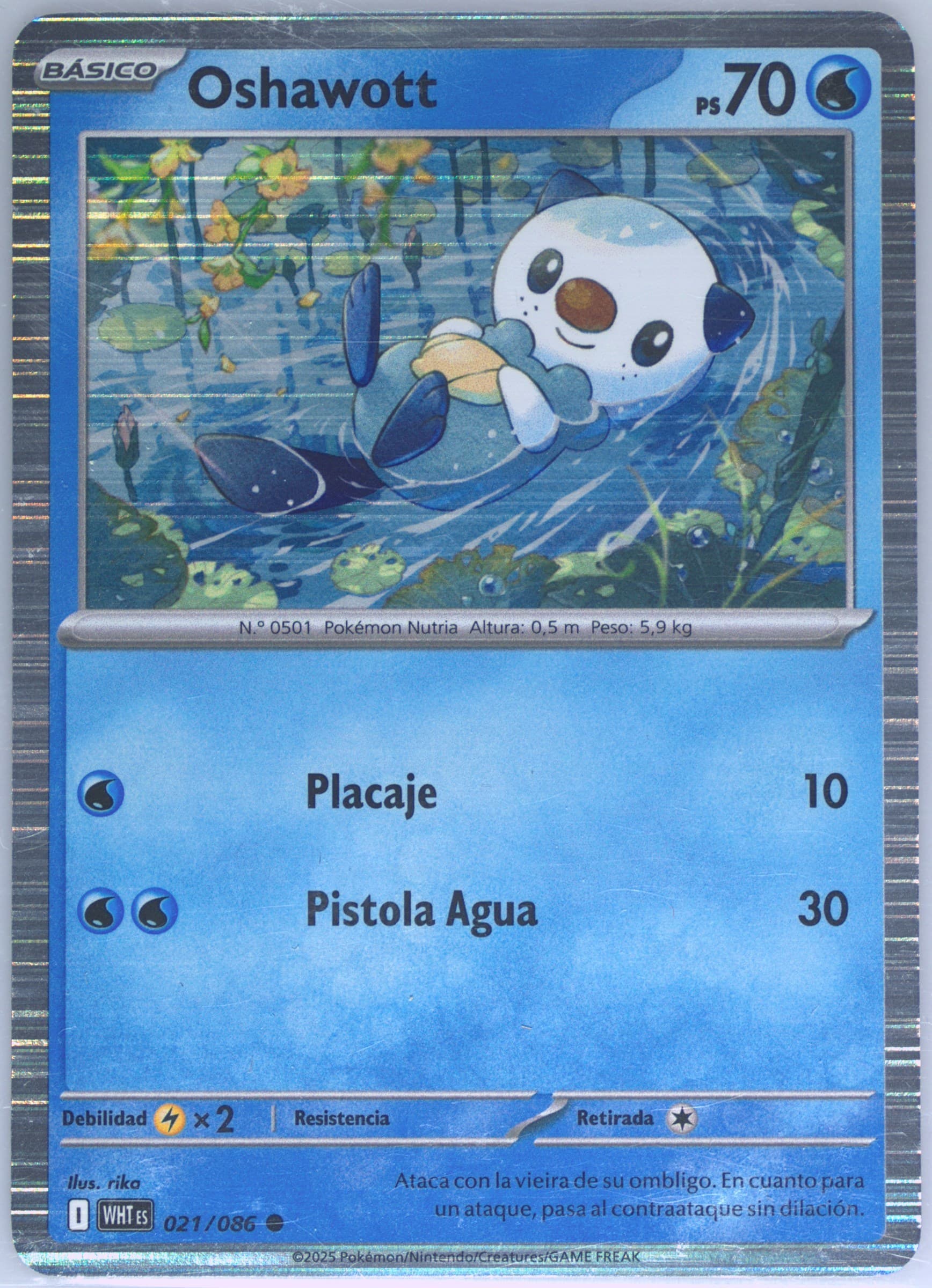 Oshawott Unova Poster Collection (021) 2025 Pokemon Spanish Wht ES-White Flare