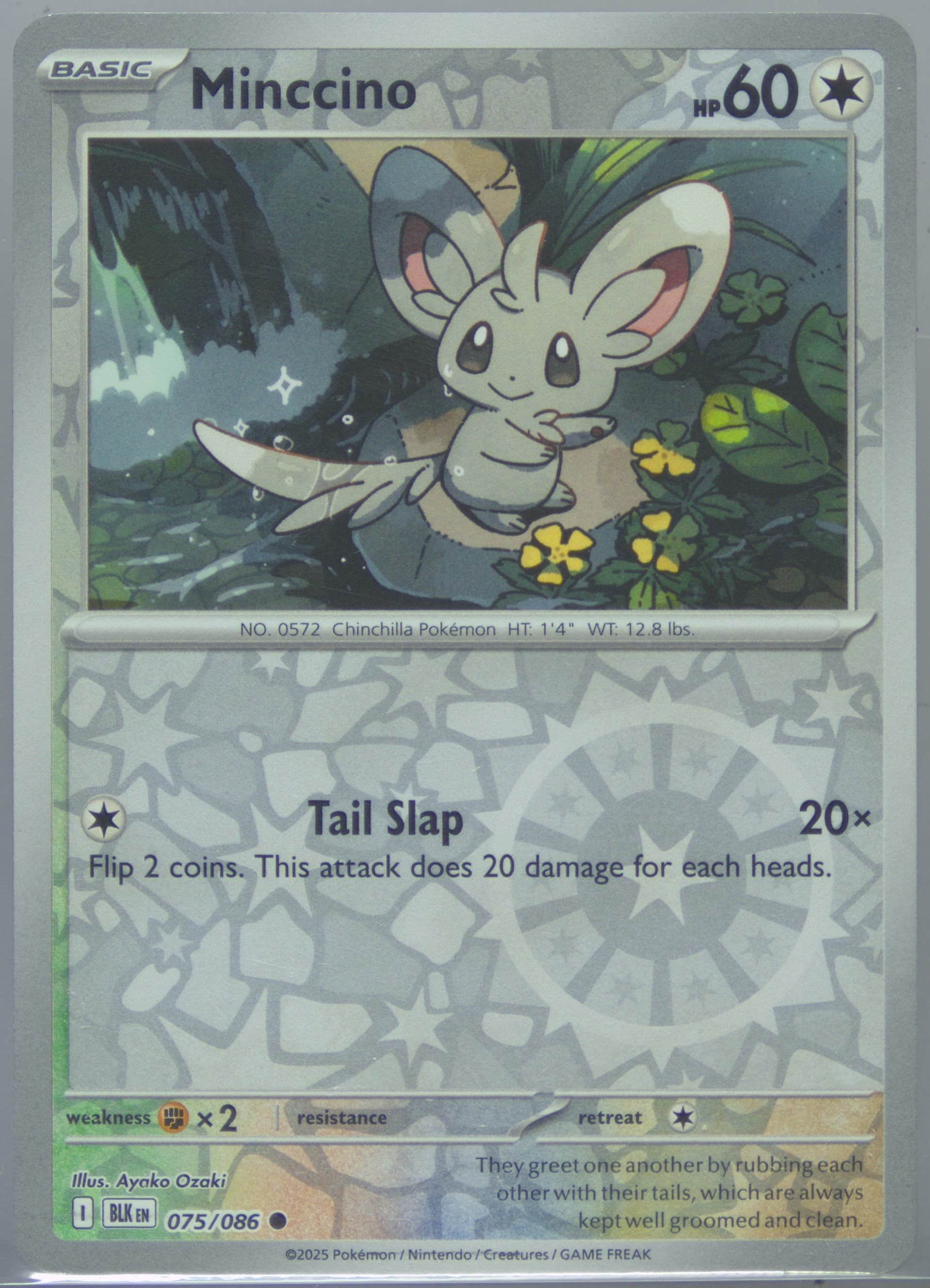 Minccino Reverse Holo (075) 2025 Pokemon Blk EN-Black Bolt