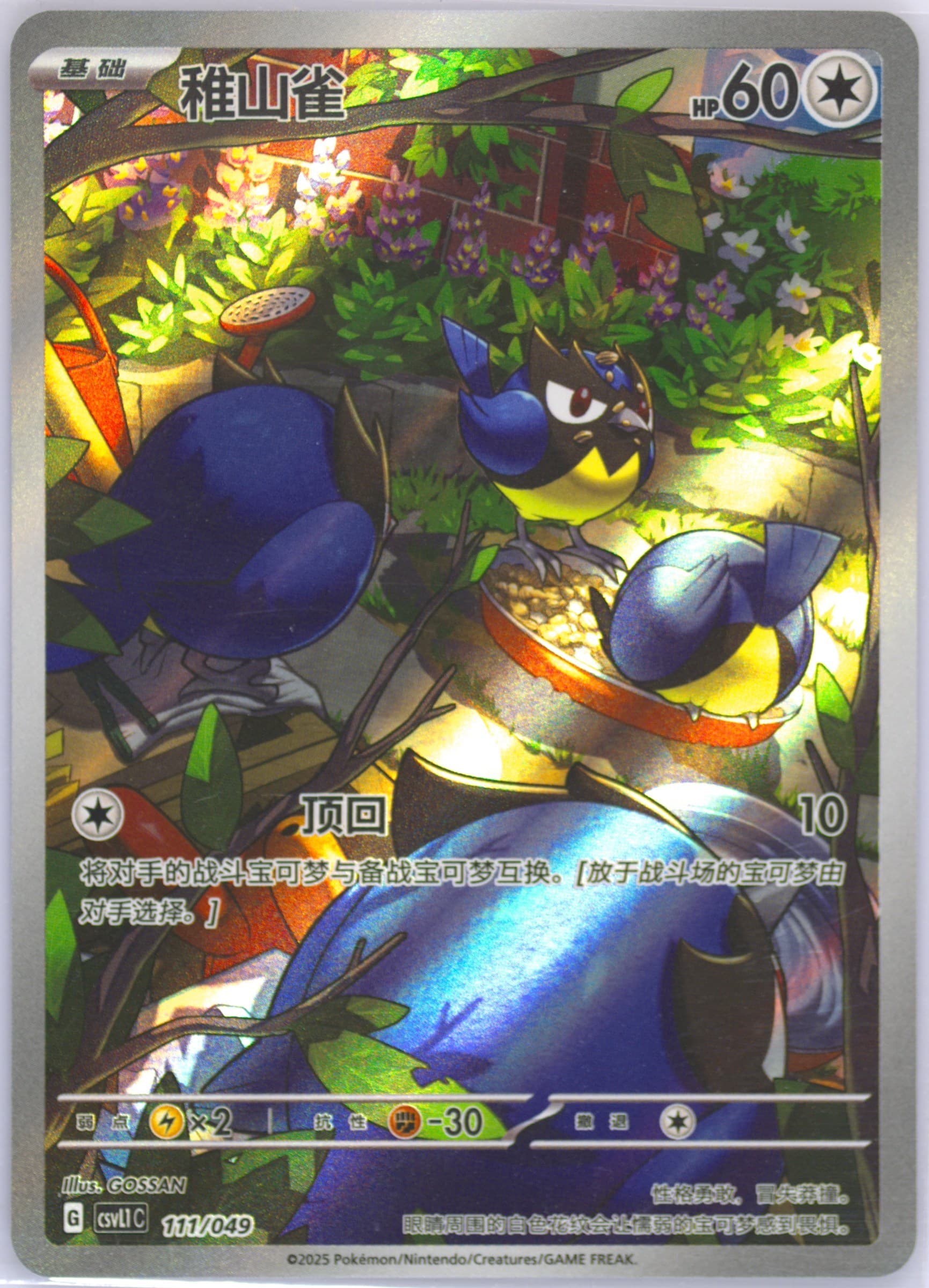 Rookidee (111) 2025 Pokemon Simplified Chinese CSVL1 C-Departure Special Pack