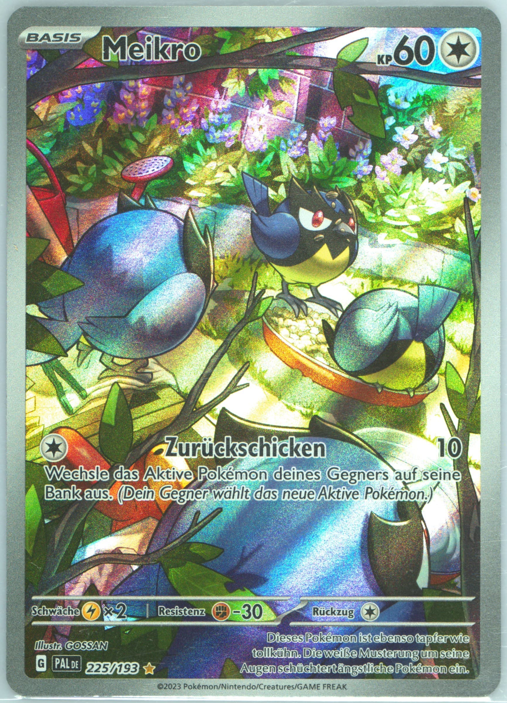 Rookidee Illustration Rare (225) 2023 Pokemon German Pal de-Paldea Evolved