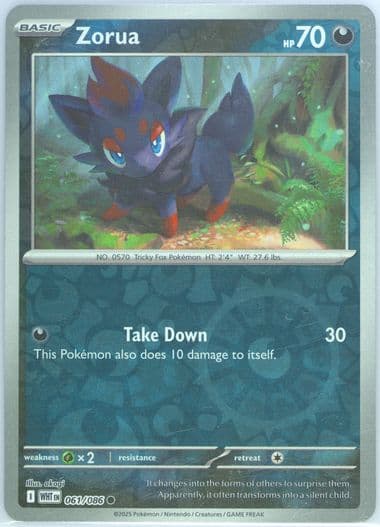 Zorua Reverse Holo (061) 2025 Pokemon Wht EN-White Flare