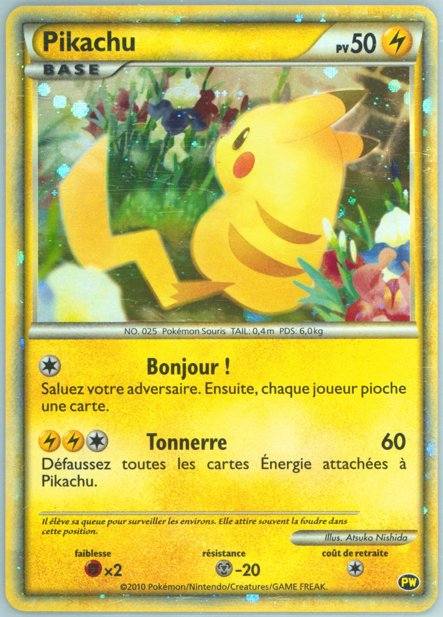 Pikachu-Holo French 2010 Pokemon Japanese World Collection