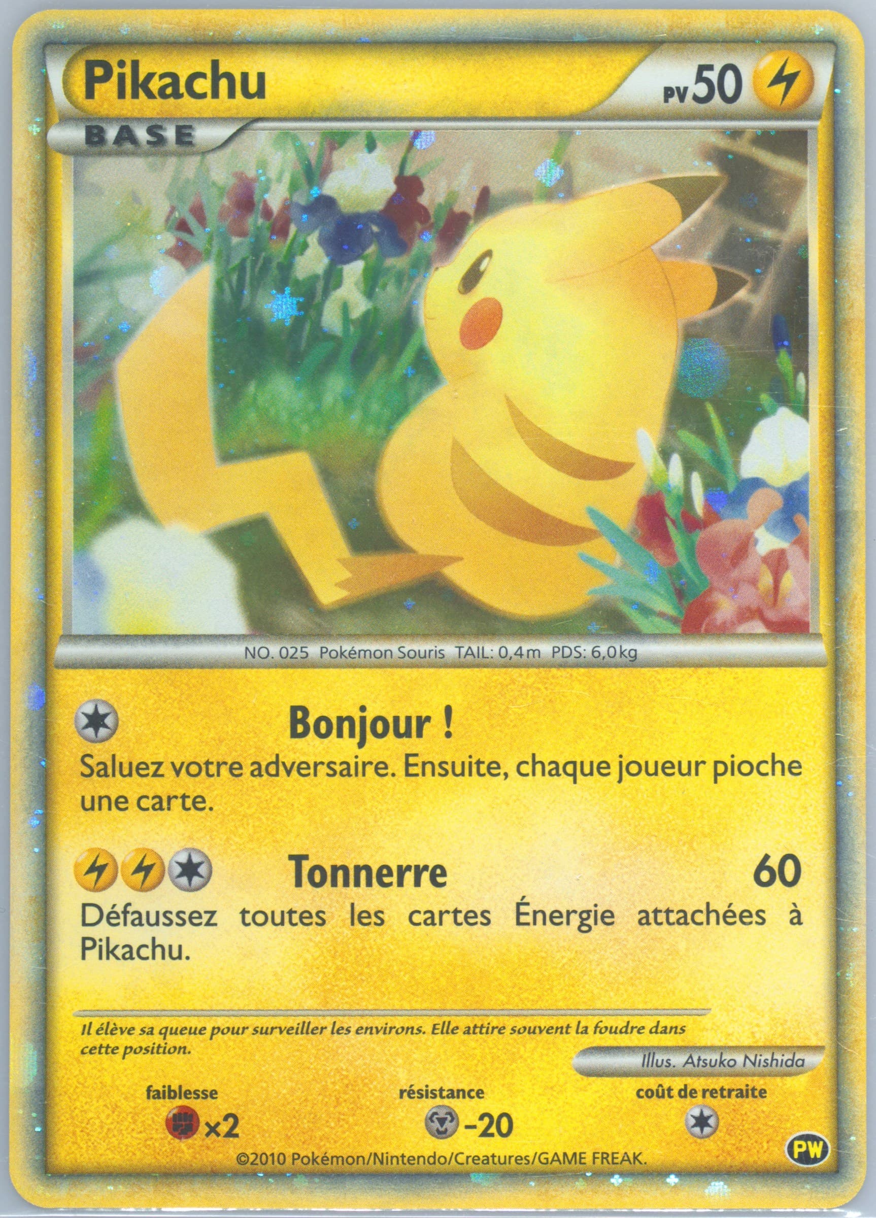 Pikachu-Holo French 2010 Pokemon World Collection