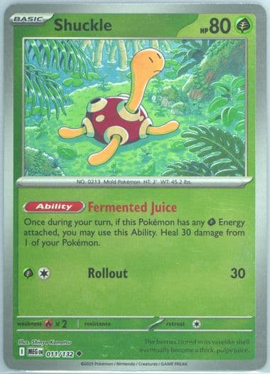 Shuckle Reverse Holo (011) 2025 Pokemon Meg EN-Mega Evolution