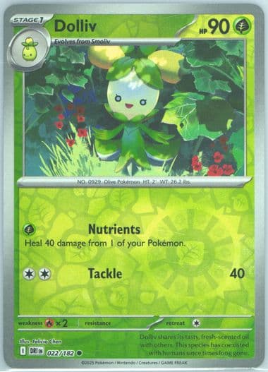 Dolliv Reverse Holo (022) 2025 Pokemon Dri EN-Destined Rivals