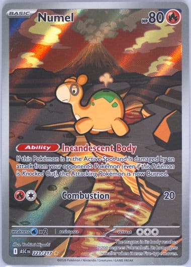 Numel Illustration Rare (223) 2026 Pokemon Asc EN-Ascended Heroes