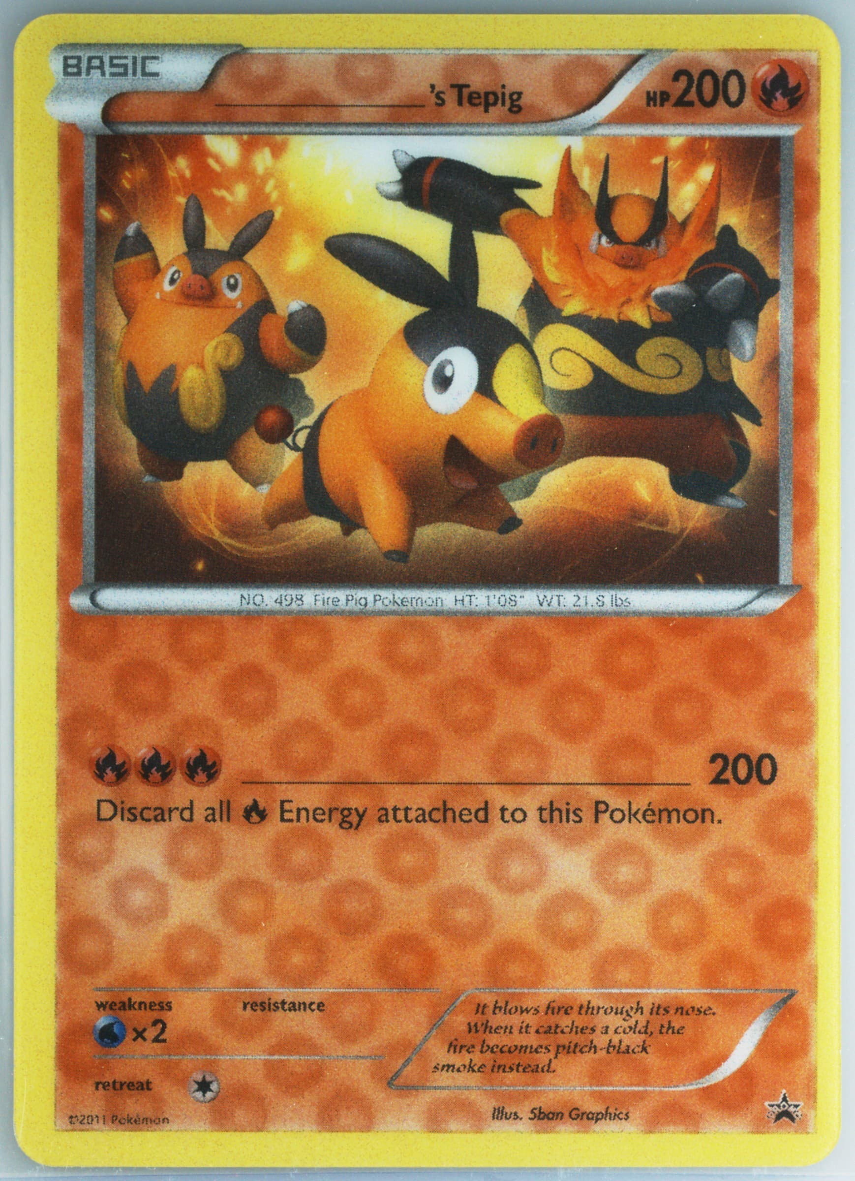 _____'s Tepig Jumbo-Terrific Tepig Box 2011 Pokemon Black & White Promo