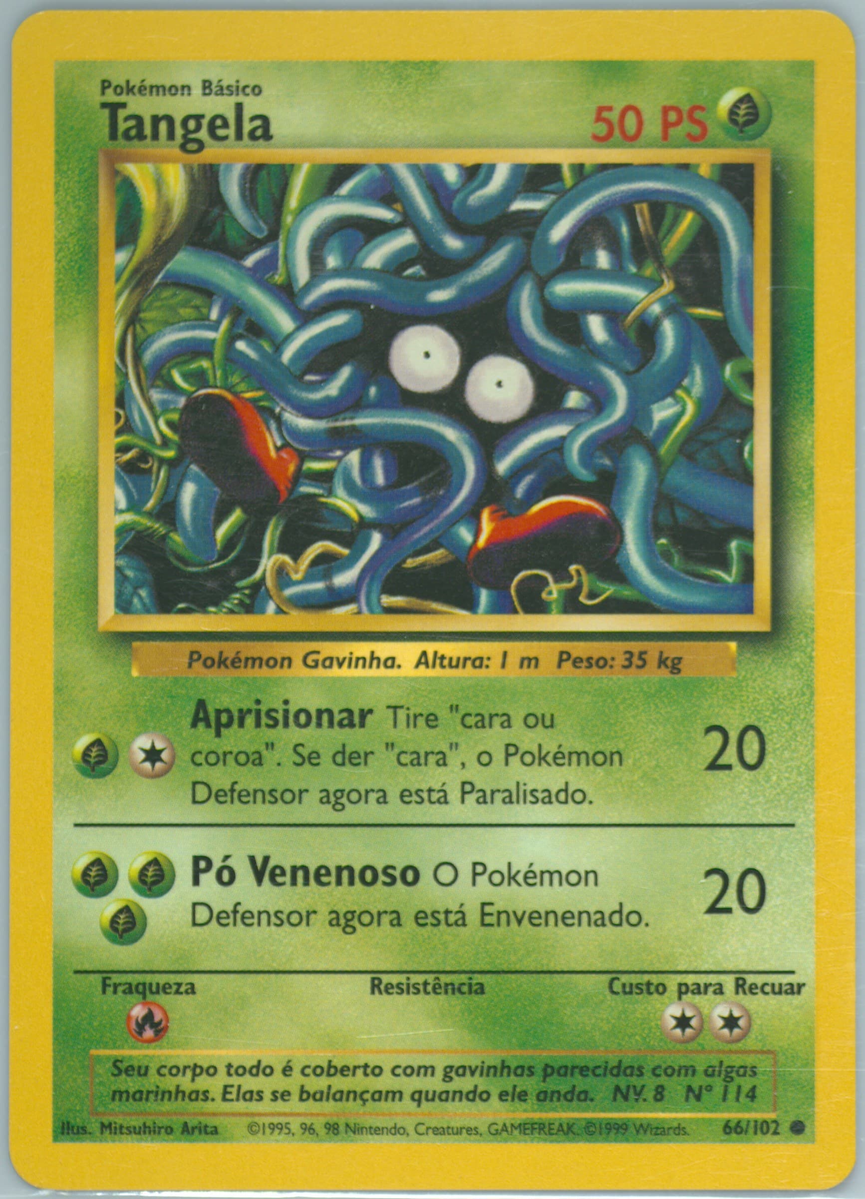Tangela (66) 1999 Pokemon Portuguese