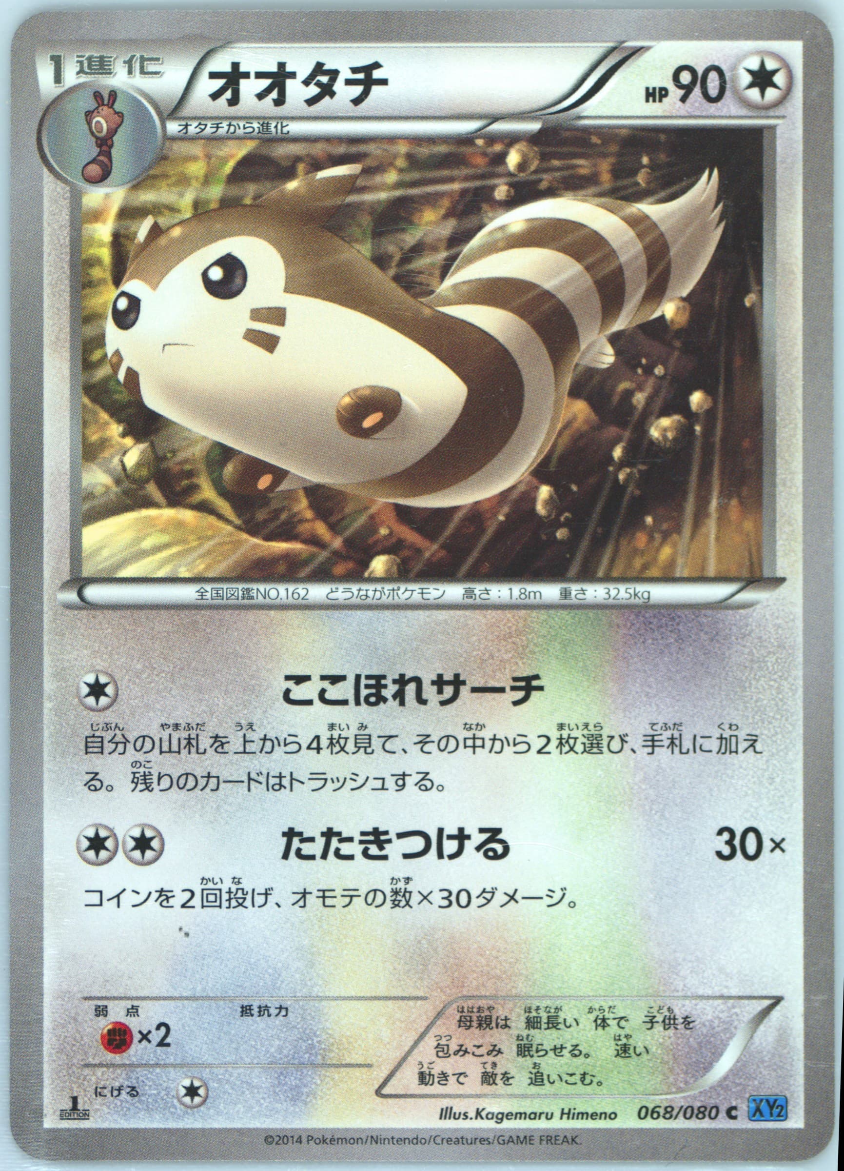 Furret 1st Edition (068) 2014 Pokemon Japanese XY Wild Blaze