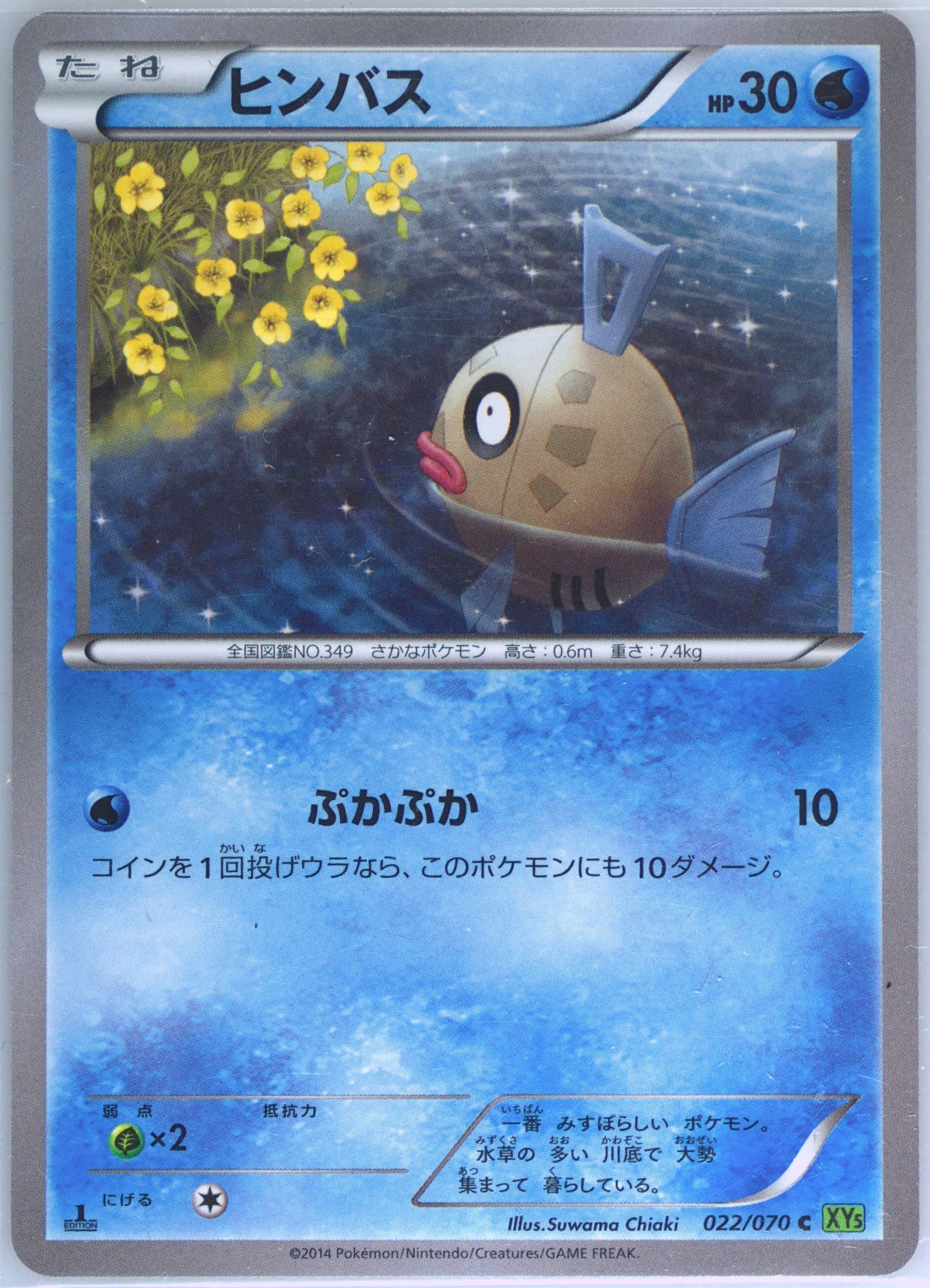 Feebas 1st Edition (022) 2014 Pokemon Japanese XY Tidal Storm