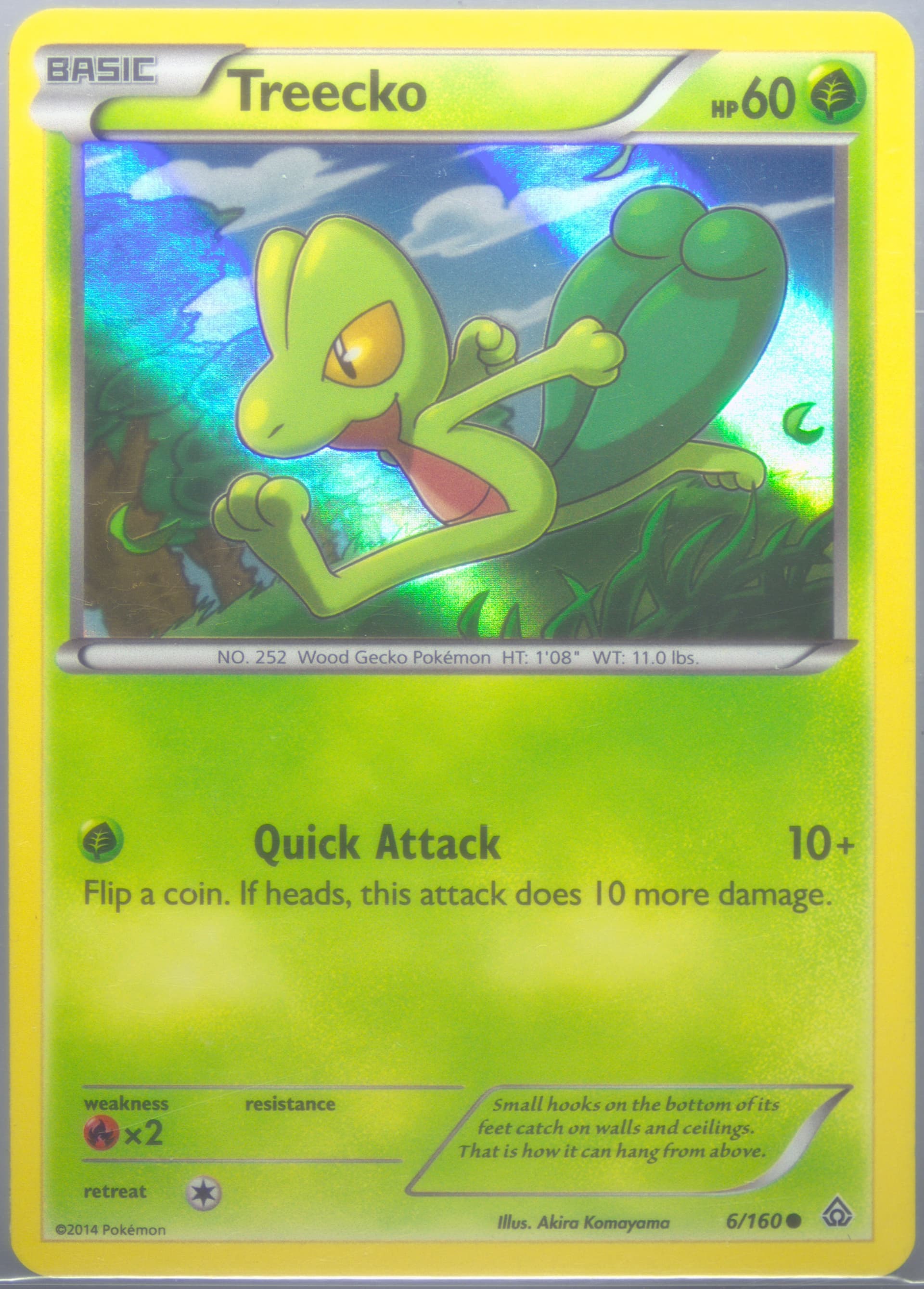 Treecko-Holo Collector Chest (6) 2015 Pokemon XY Primal Clash