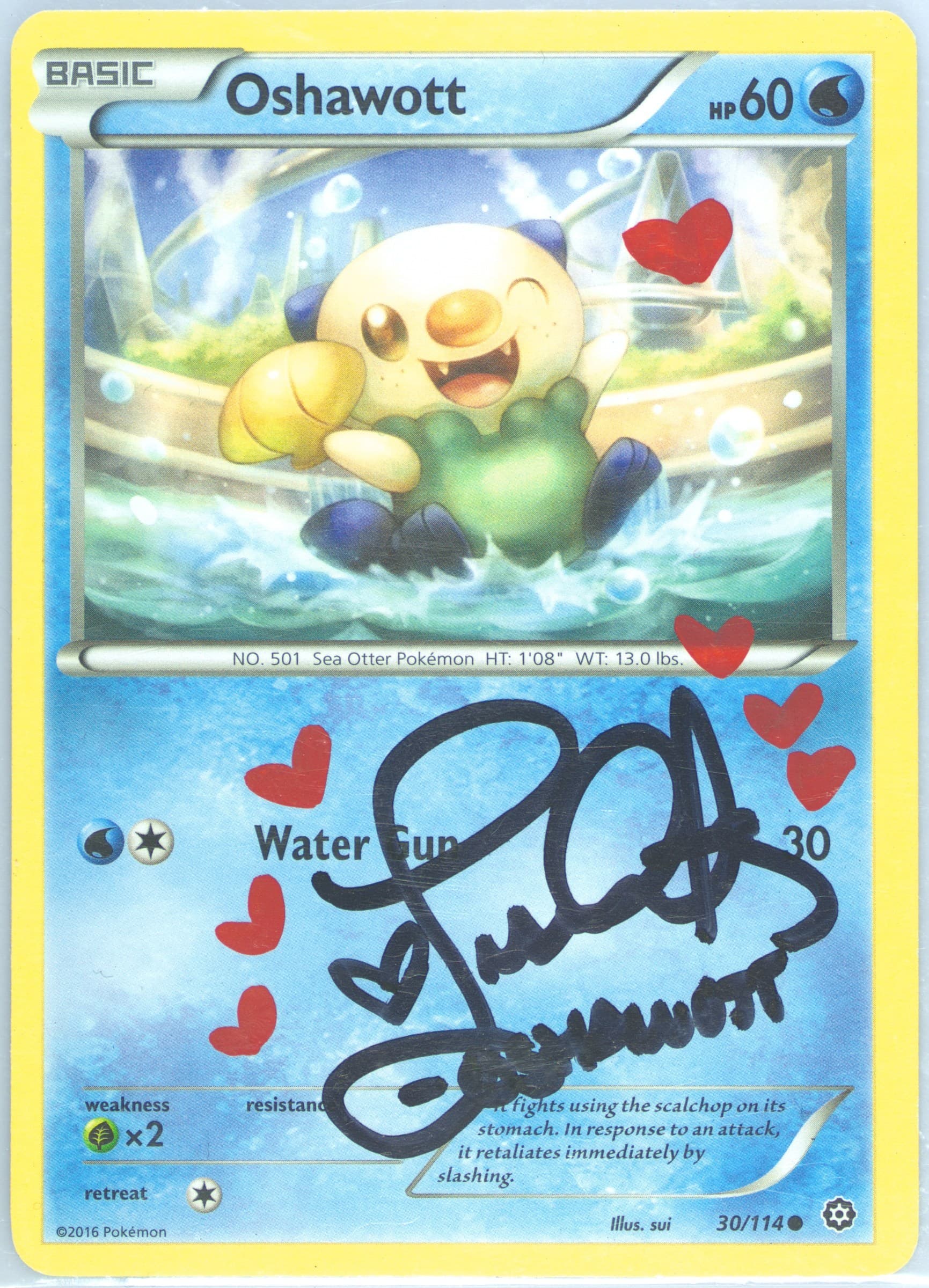 Oshawott (30) 2016 Pokemon XY Steam Siege