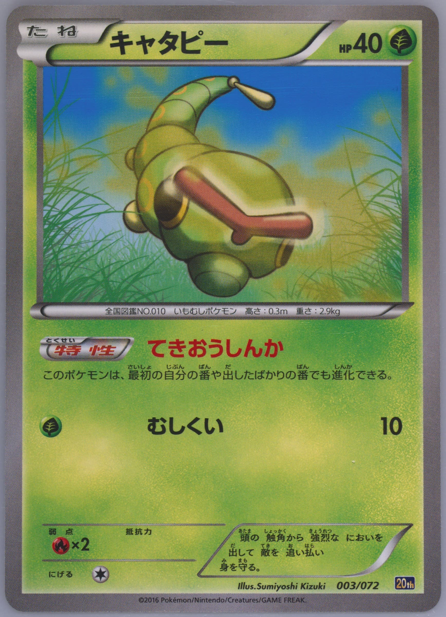 Caterpie (003) 2016 Pokemon Japanese XY Starter Pack