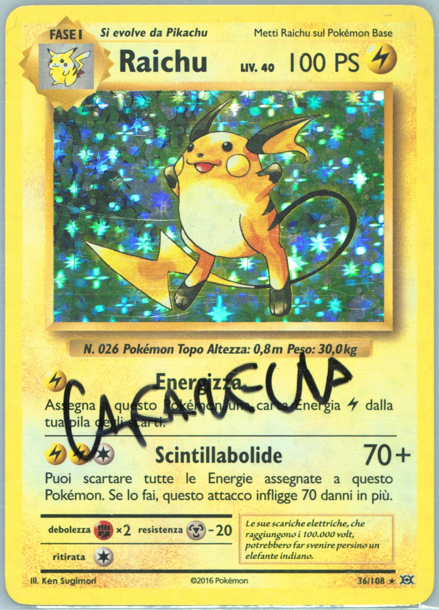 Raichu-Holo Italian (36) 2016 Pokemon XY Evolutions