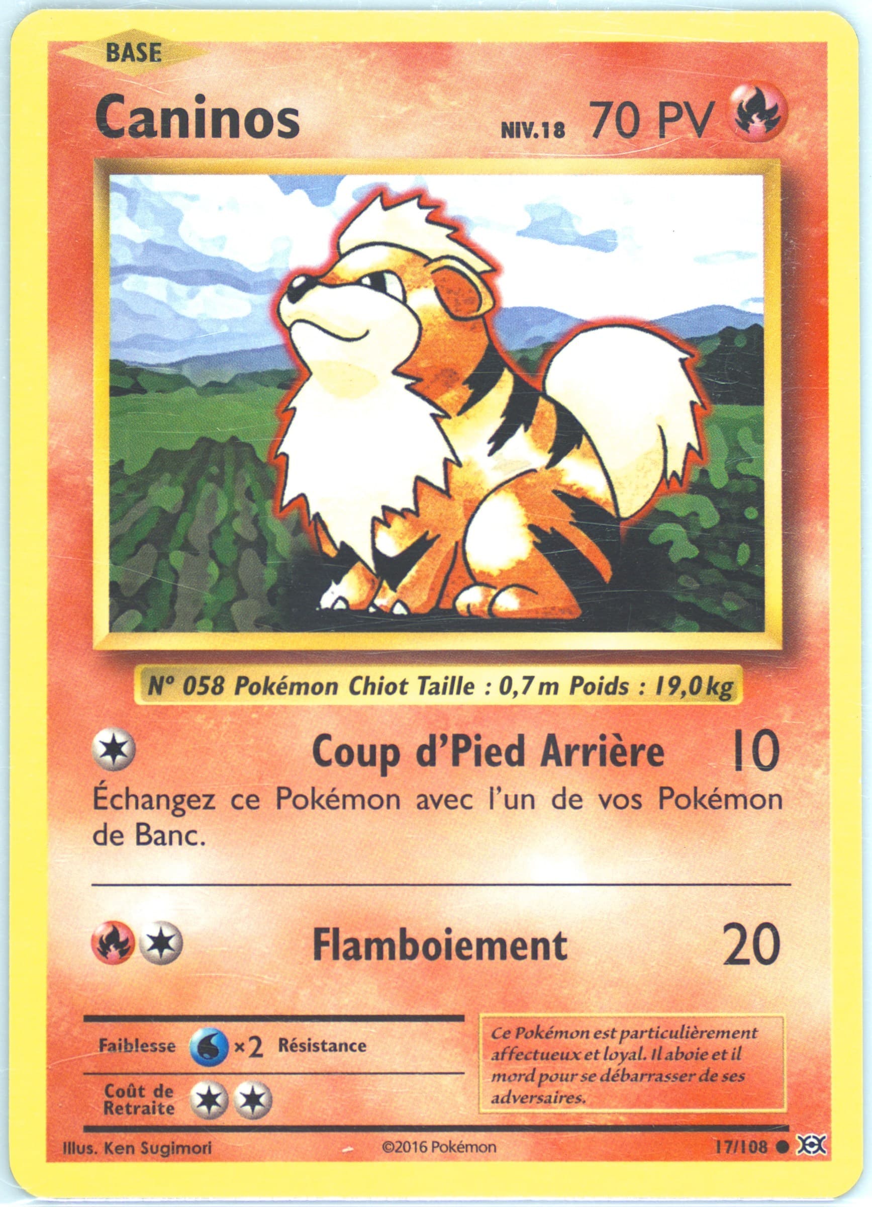 Caninos French (17) 2016 Pokemon XY Evolutions