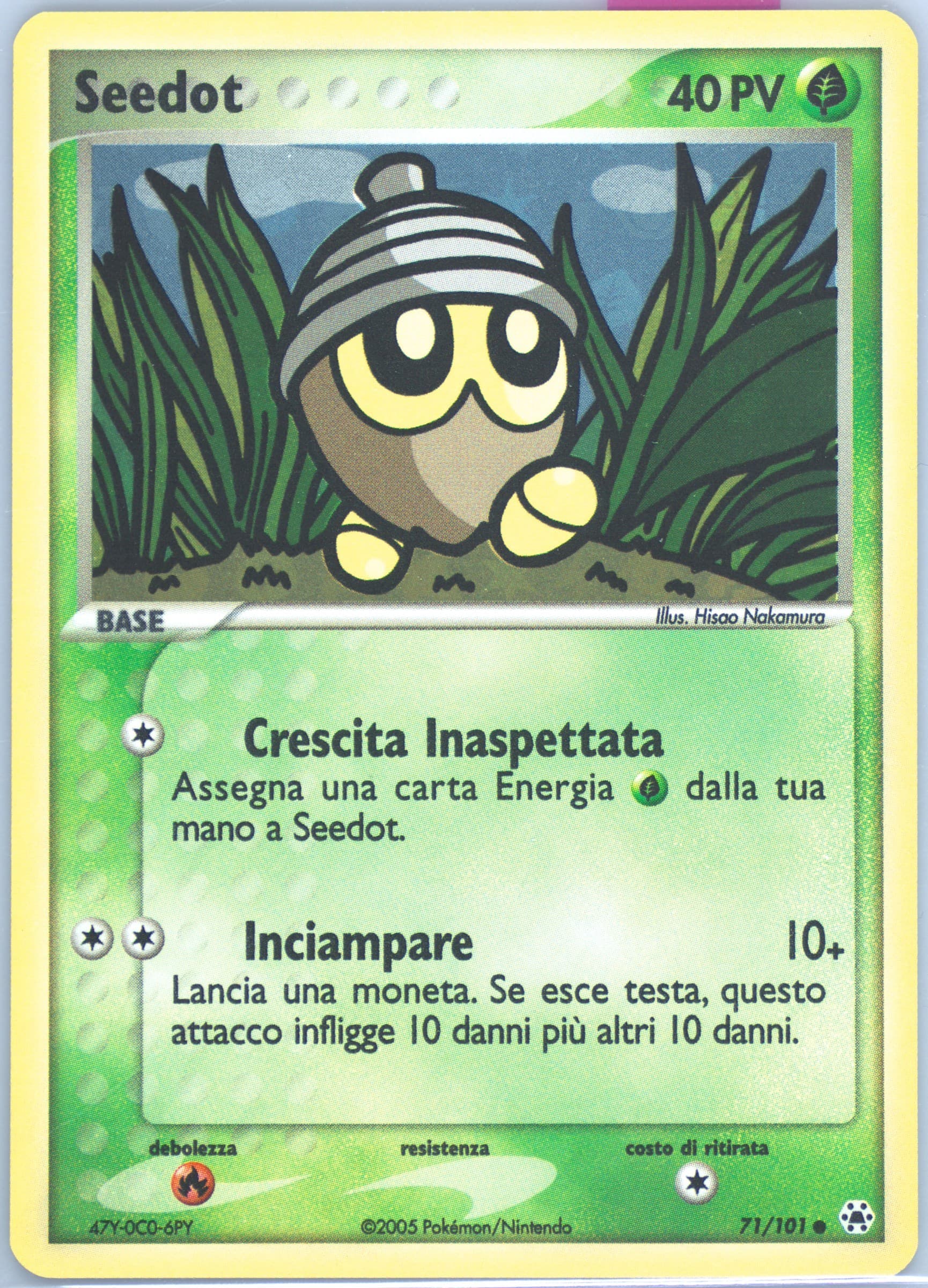 Seedot-Reverse Foil (71) 2005 Pokemon Italian EX Hidden Legends