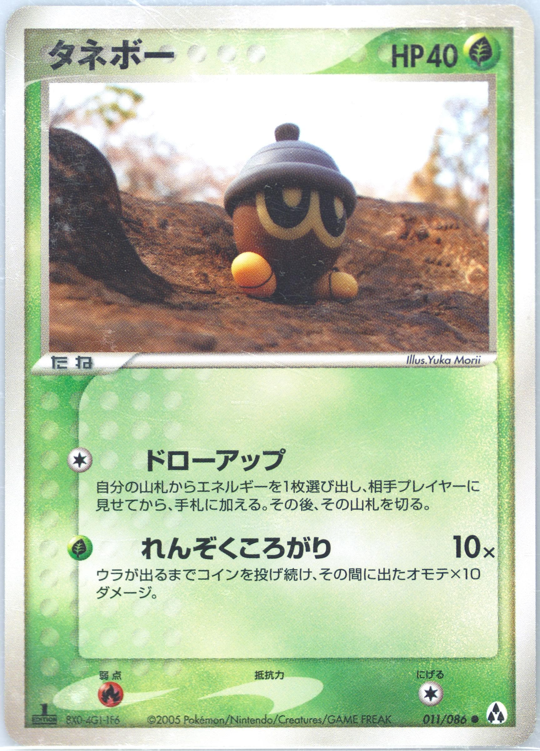 Seedot 1st Edition (011) 2005 Pokemon Japanese Mirage Forest