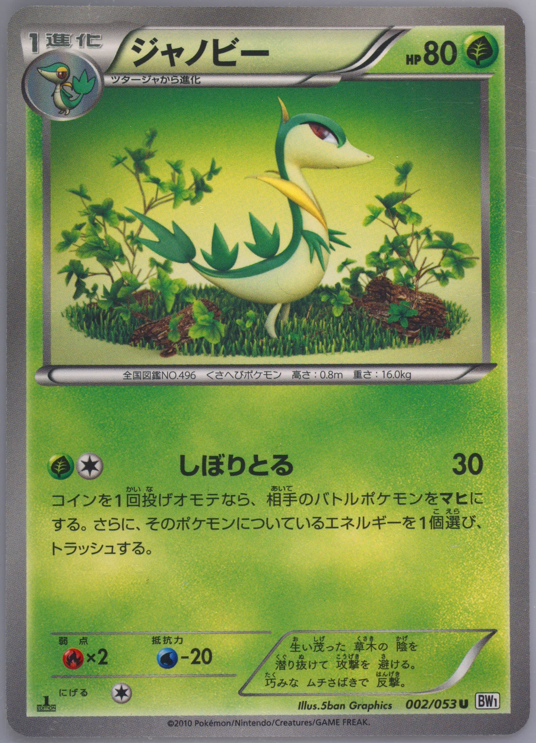 Servine White Collection-1st Edition (002) 2010 Pokemon Japanese Black & White