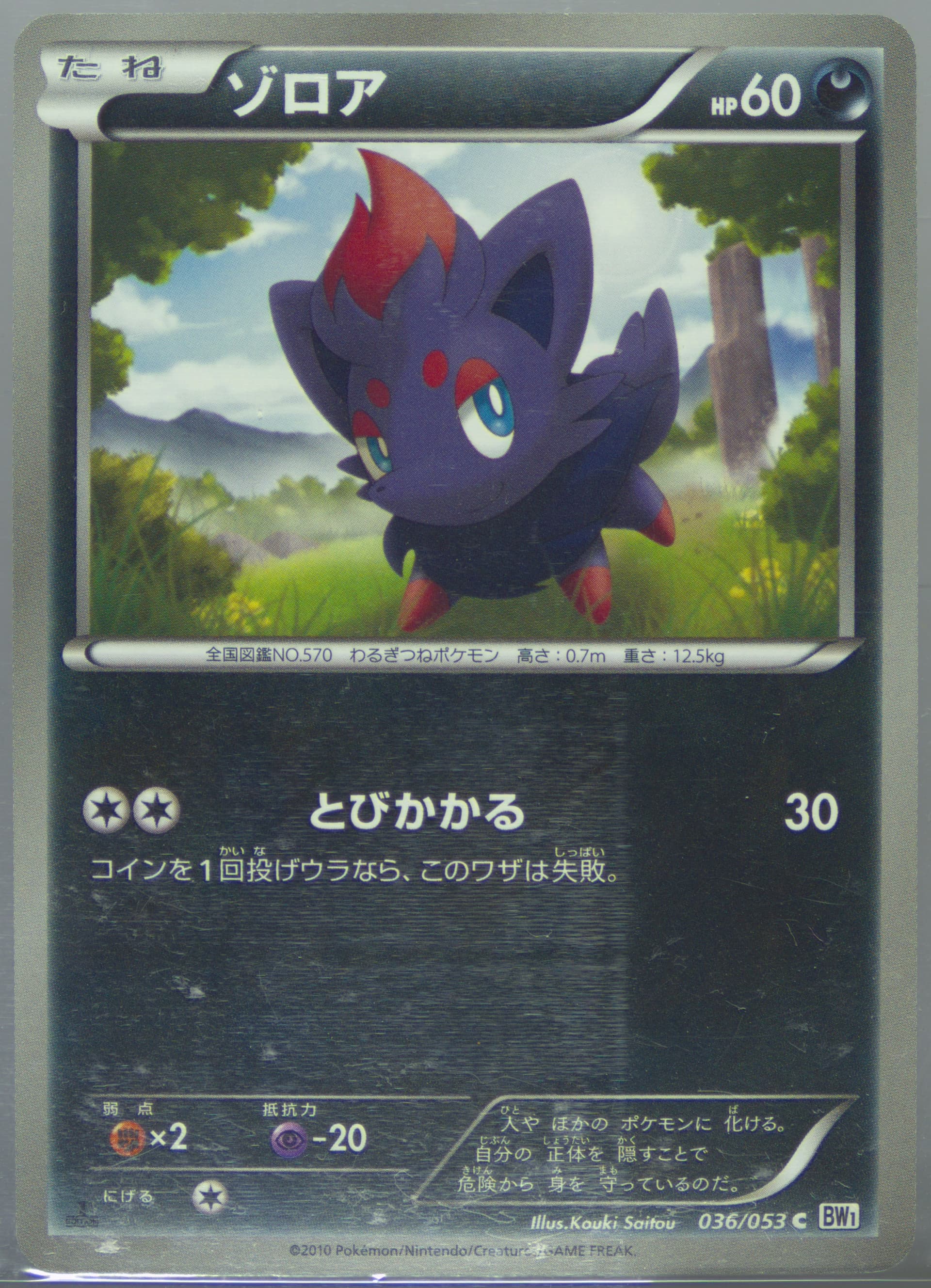 Zorua White Collection-1st Edition (036) 2010 Pokemon Japanese Black & White