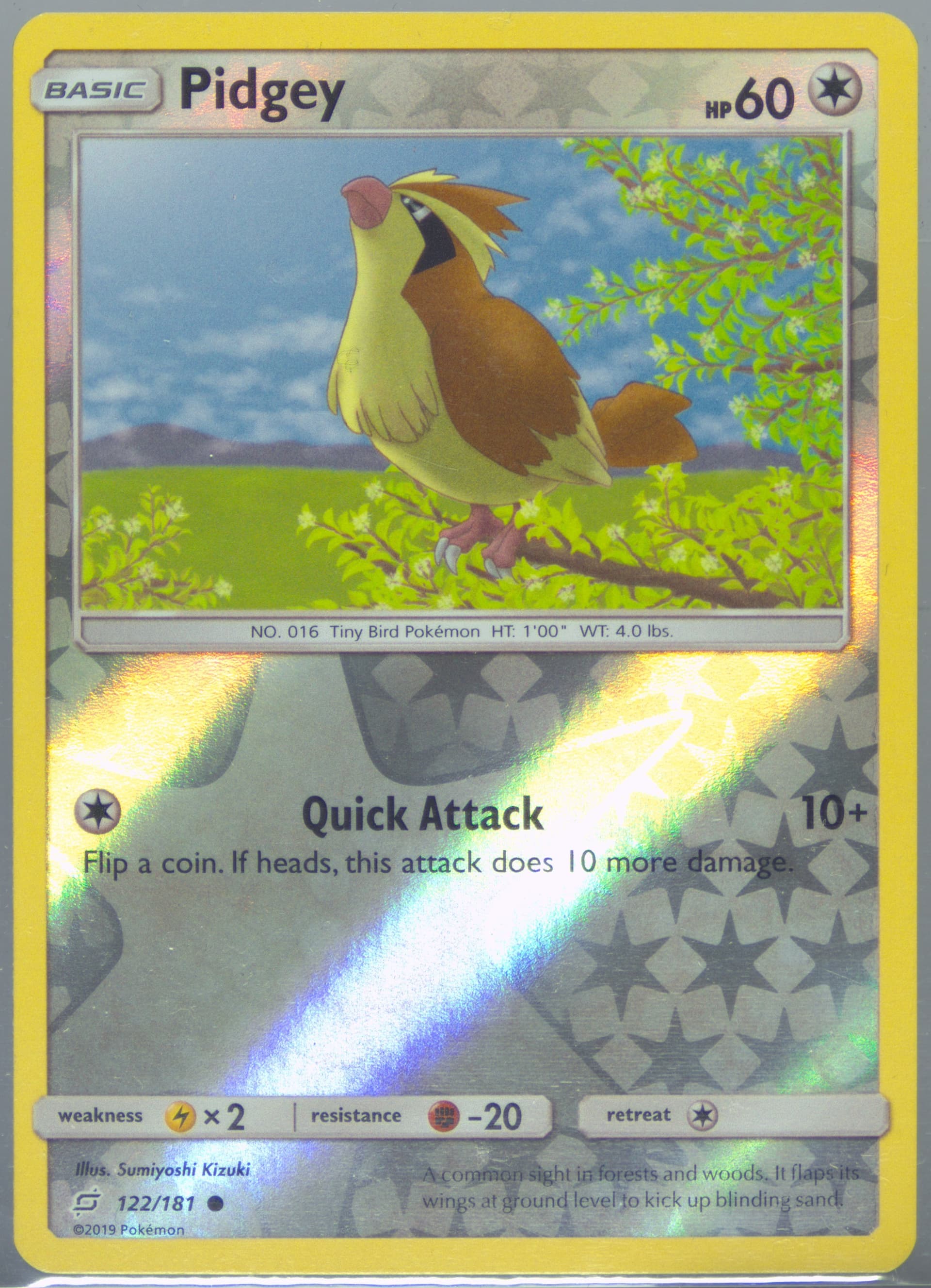 Pidgey-Reverse Foil (122) 2019 Pokemon Sun & Moon Team Up