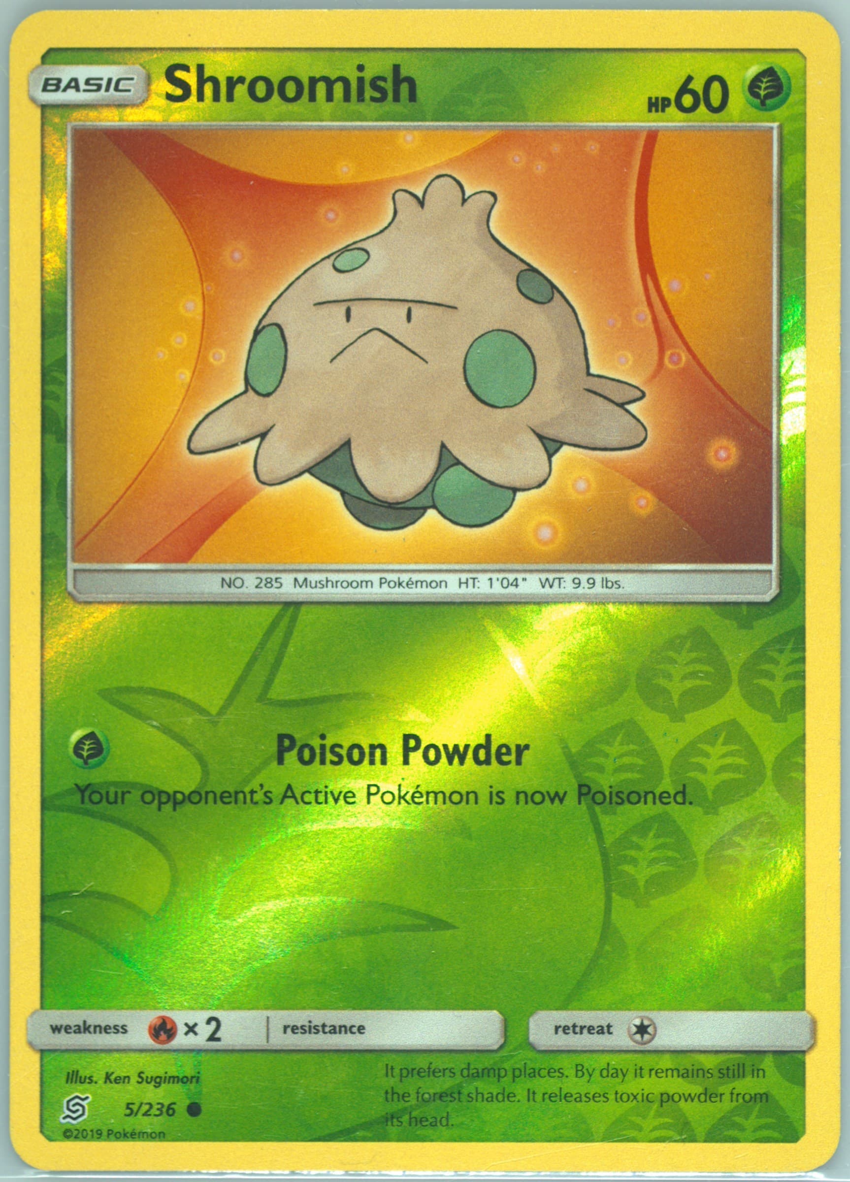 Shroomish-Reverse Foil (5) 2019 Pokemon Sun & Moon Unified Minds