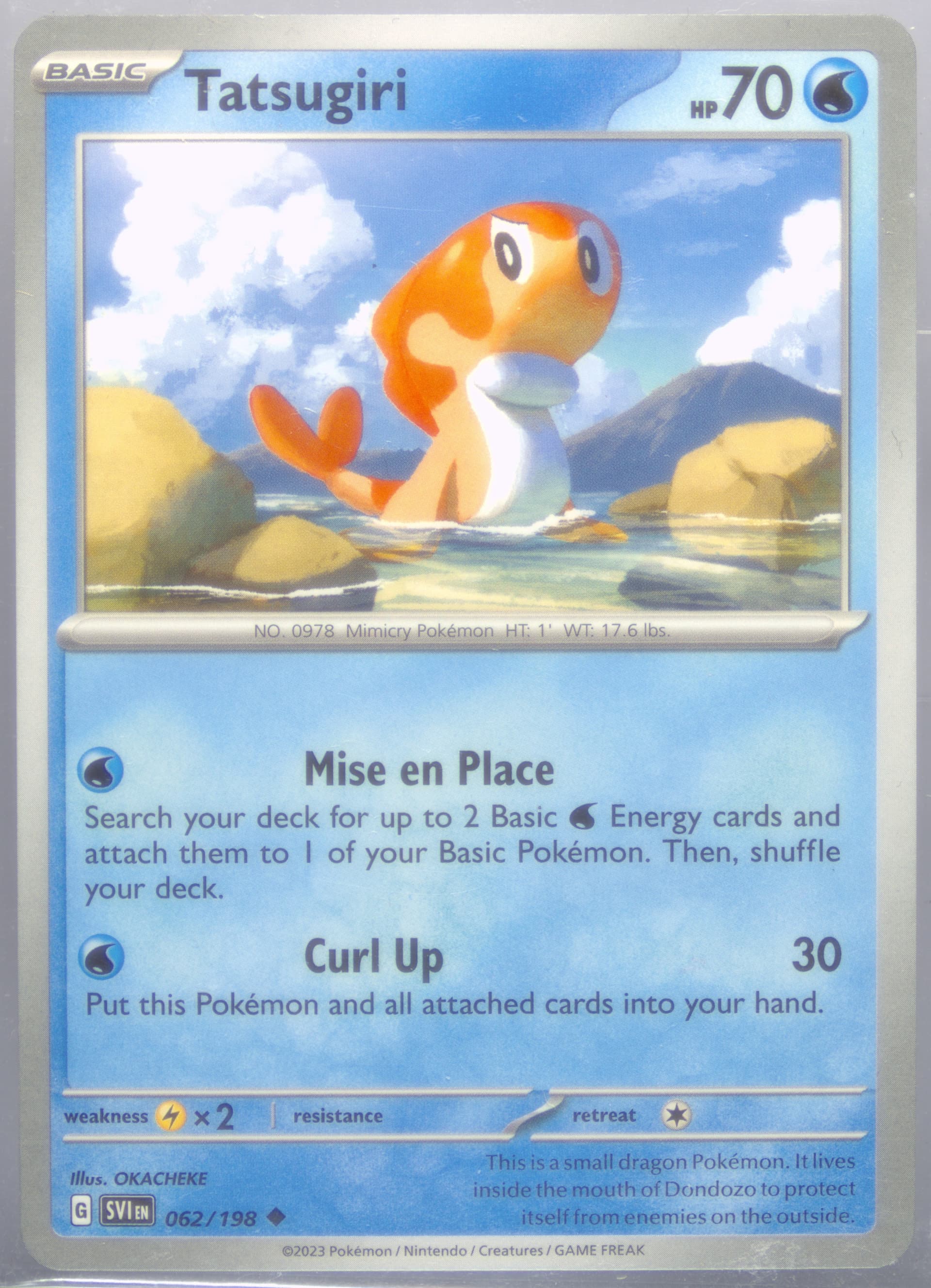 Tatsugiri (062) 2023 Pokemon Svi EN-Scarlet & Violet