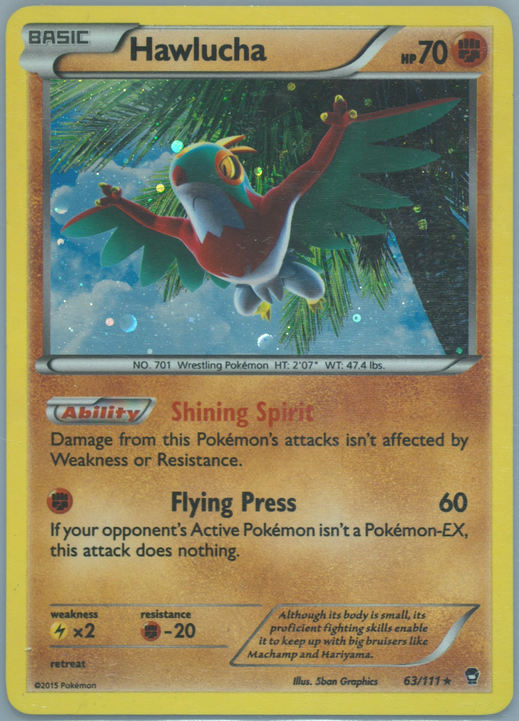Hawlucha-Holo Single Pack (63) 2015 Pokemon XY Breakthrough Blister Exclusive