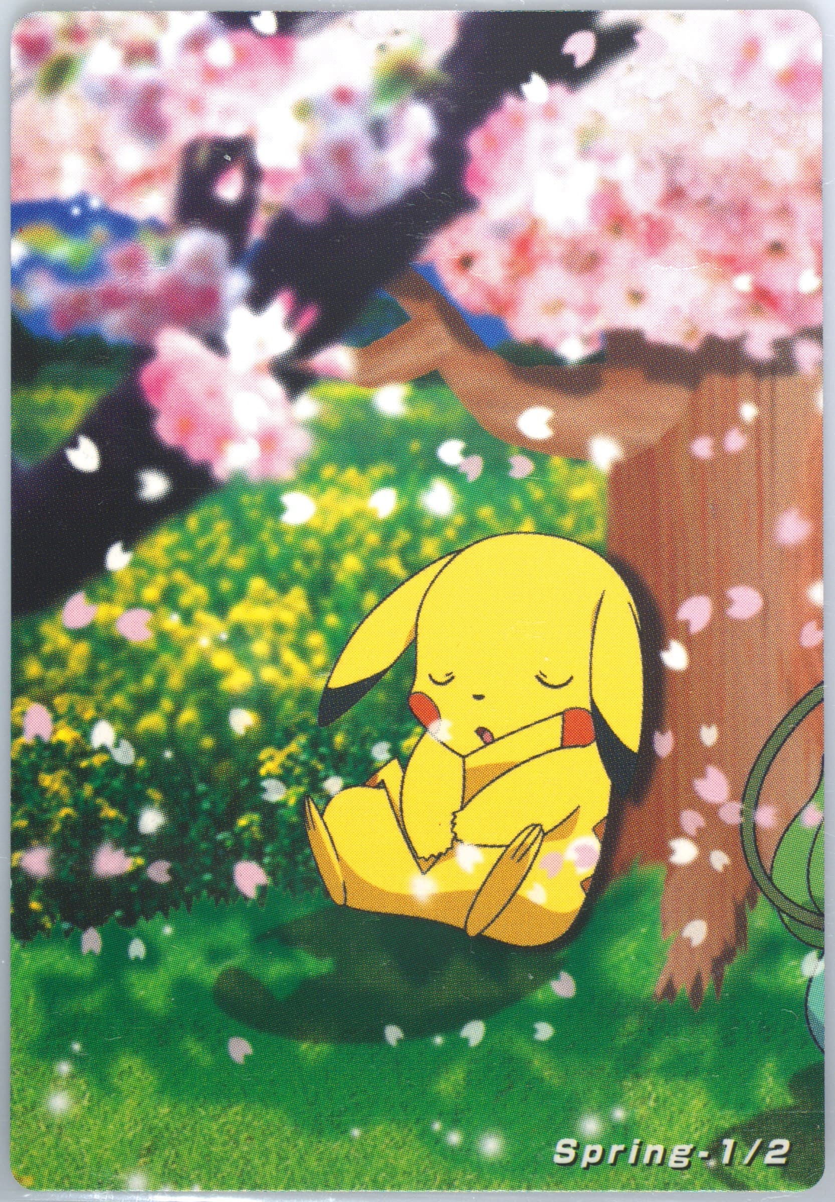 Pikachu (001) 2005 Carddass the Pokemon Weekly Advanced Generation Pokemon Weekly Card Box Partner Card