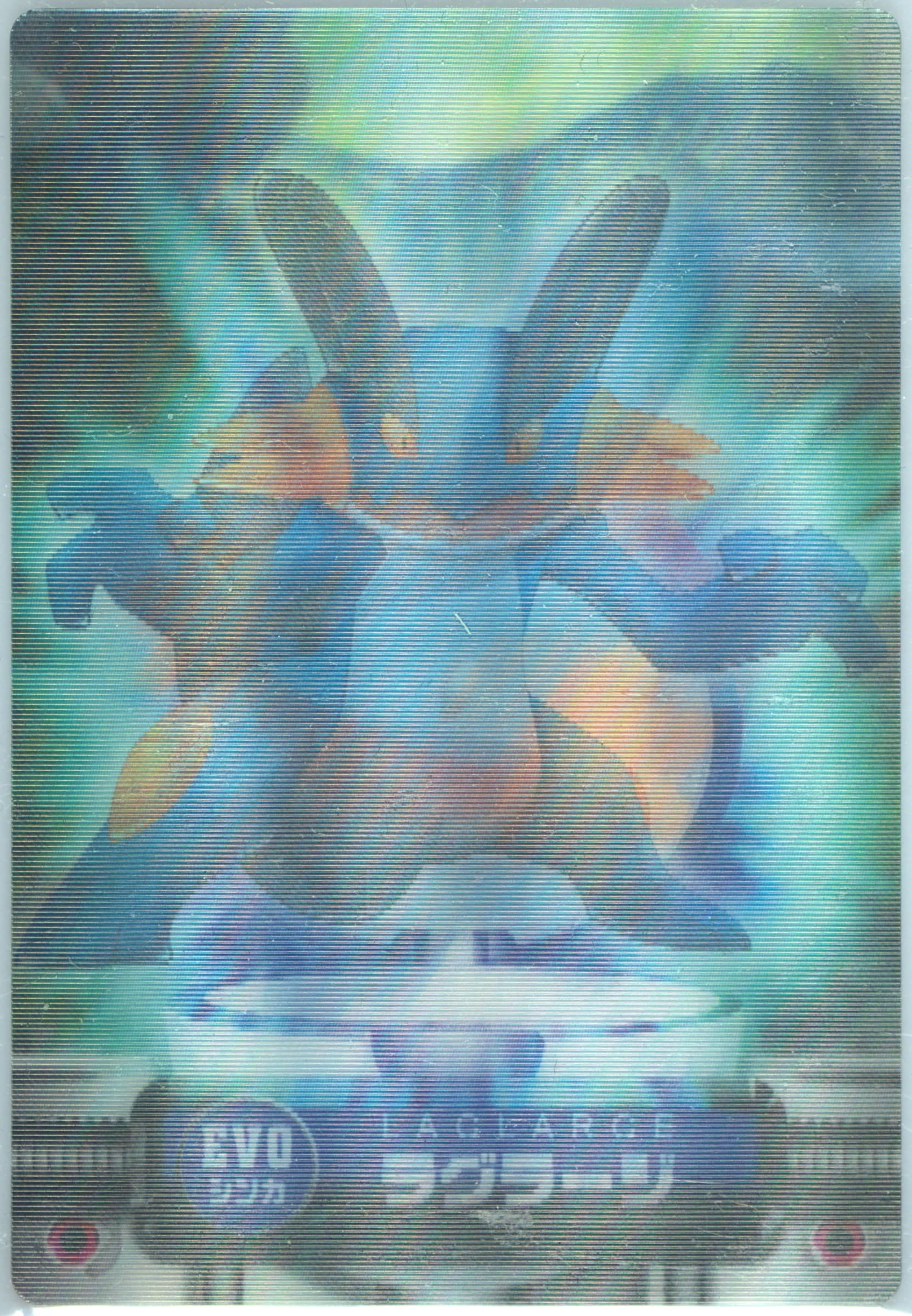 Marshtomp/Mudkip/Swampert 2003 Carddass Pokemon Advanced Generation Zukancard Evolution Card