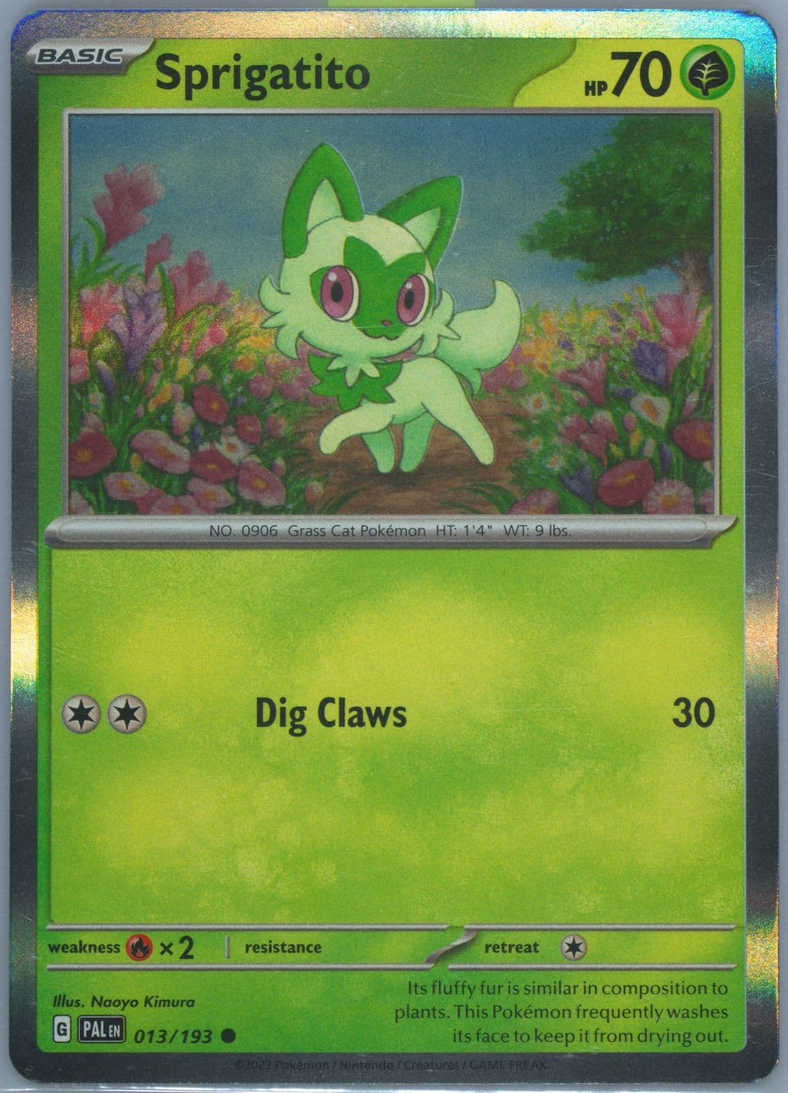 Sprigatito Summer 2023 Collector Chest (013) 2023 Pokemon Pal EN-Paldea Evolved