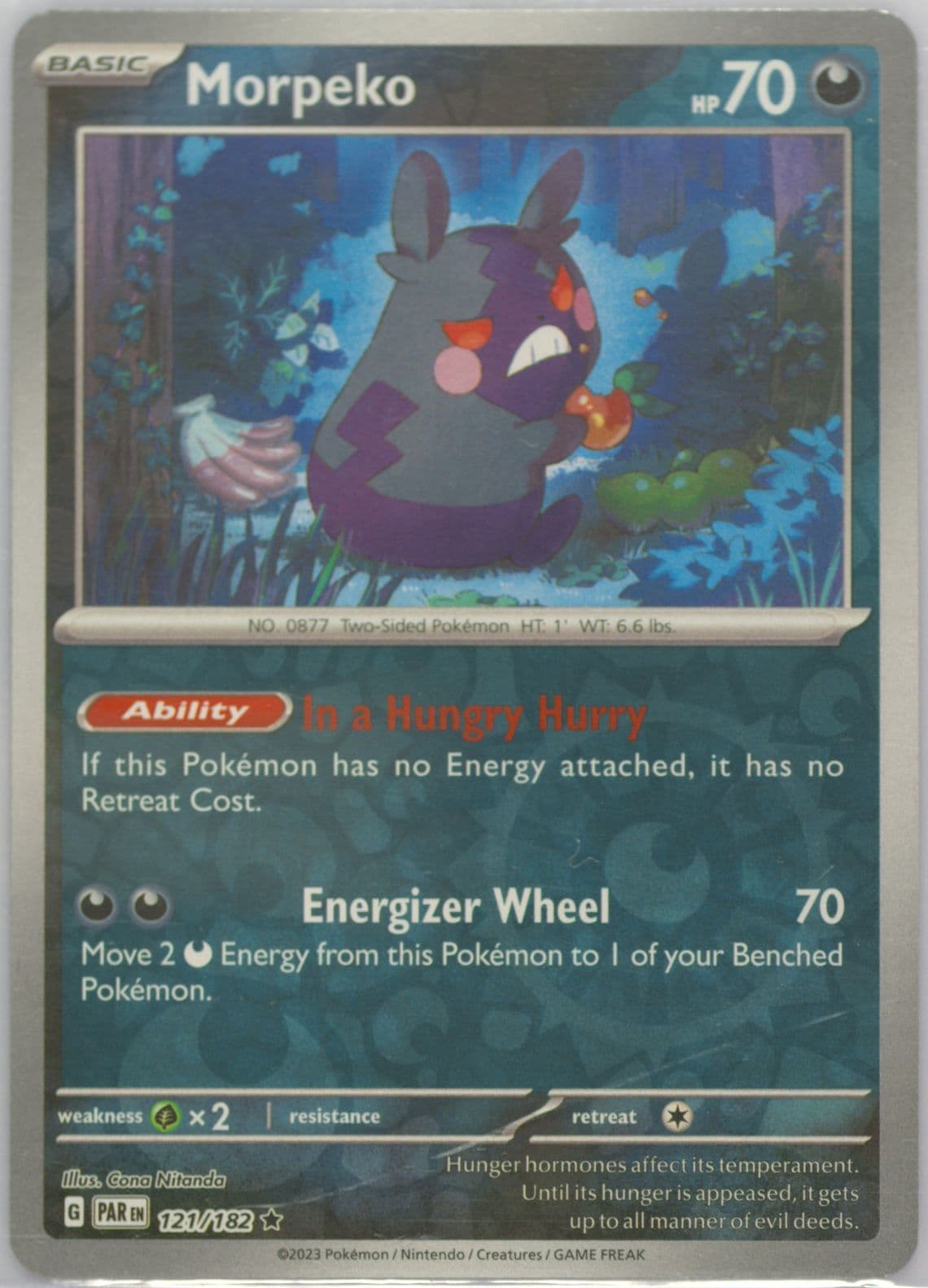 Morpeko Reverse Holo (121) 2023 Pokemon Par EN-Paradox Rift