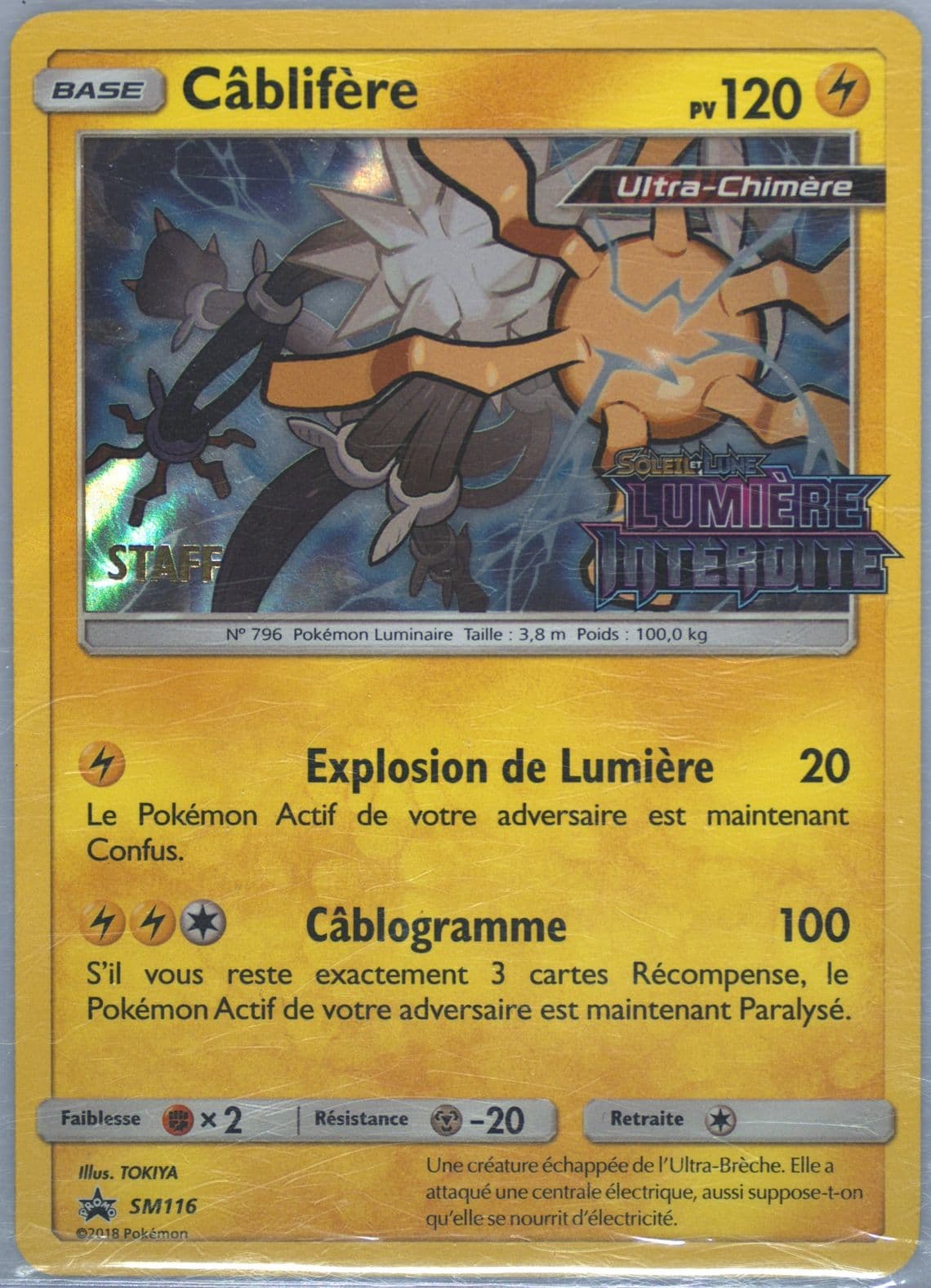 Cablifere-Holo Forbidden Light Prerelease-Staff-French (SM116) 2018 Pokemon SM Black Star Promo