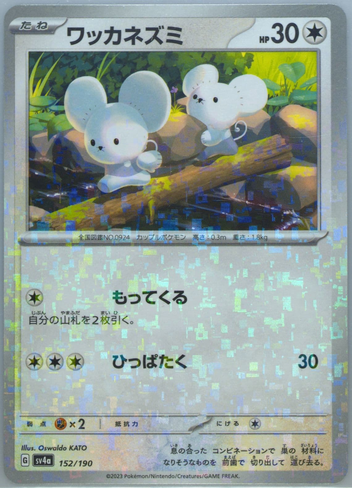 Tandemaus Reverse Holo (152) 2023 Pokemon Japanese Sv4a-Shiny Treasure EX