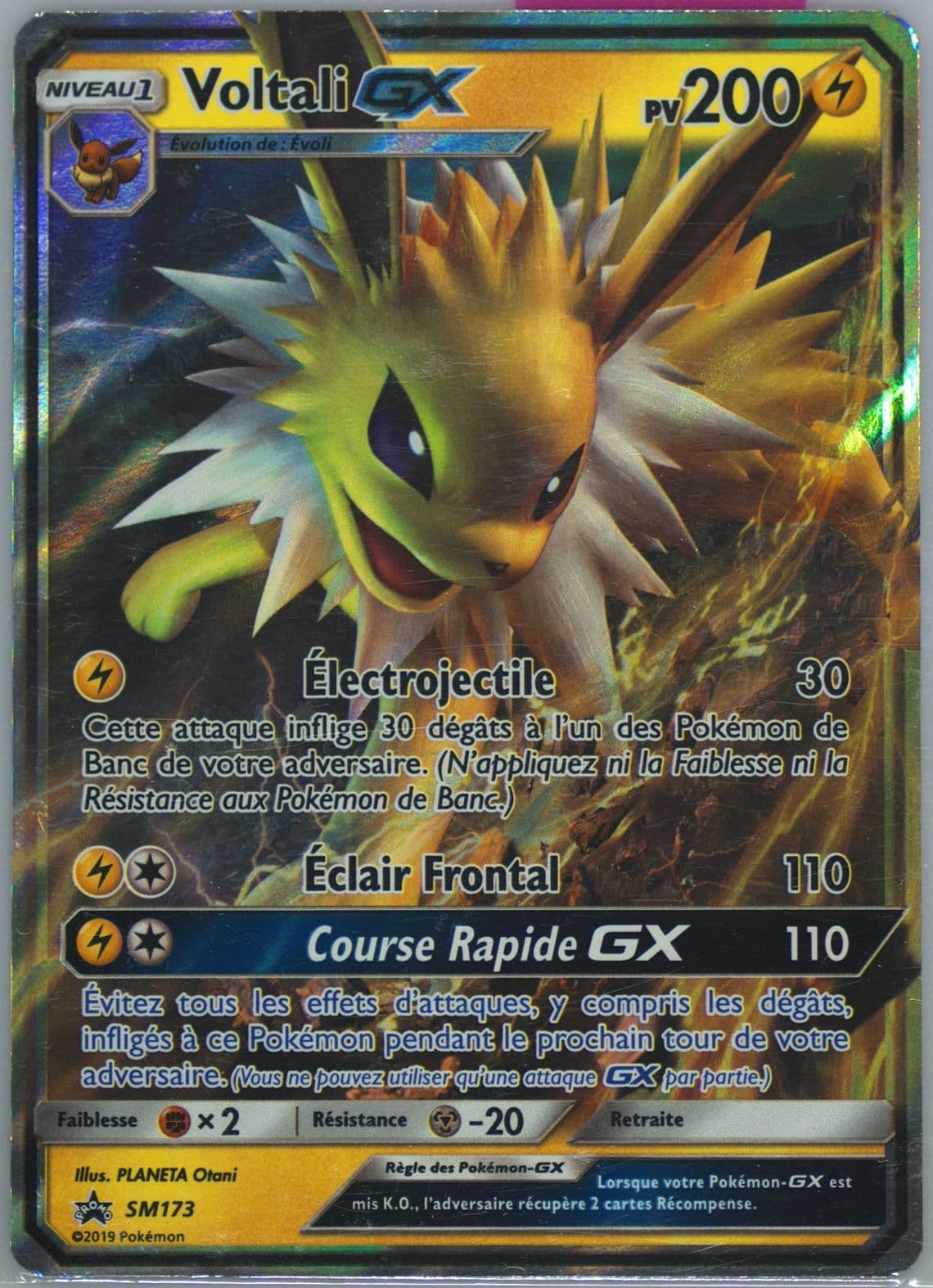 Voltali GX Elemental Power Tins-French (SM173) 2019 Pokemon SM Black Star Promo
