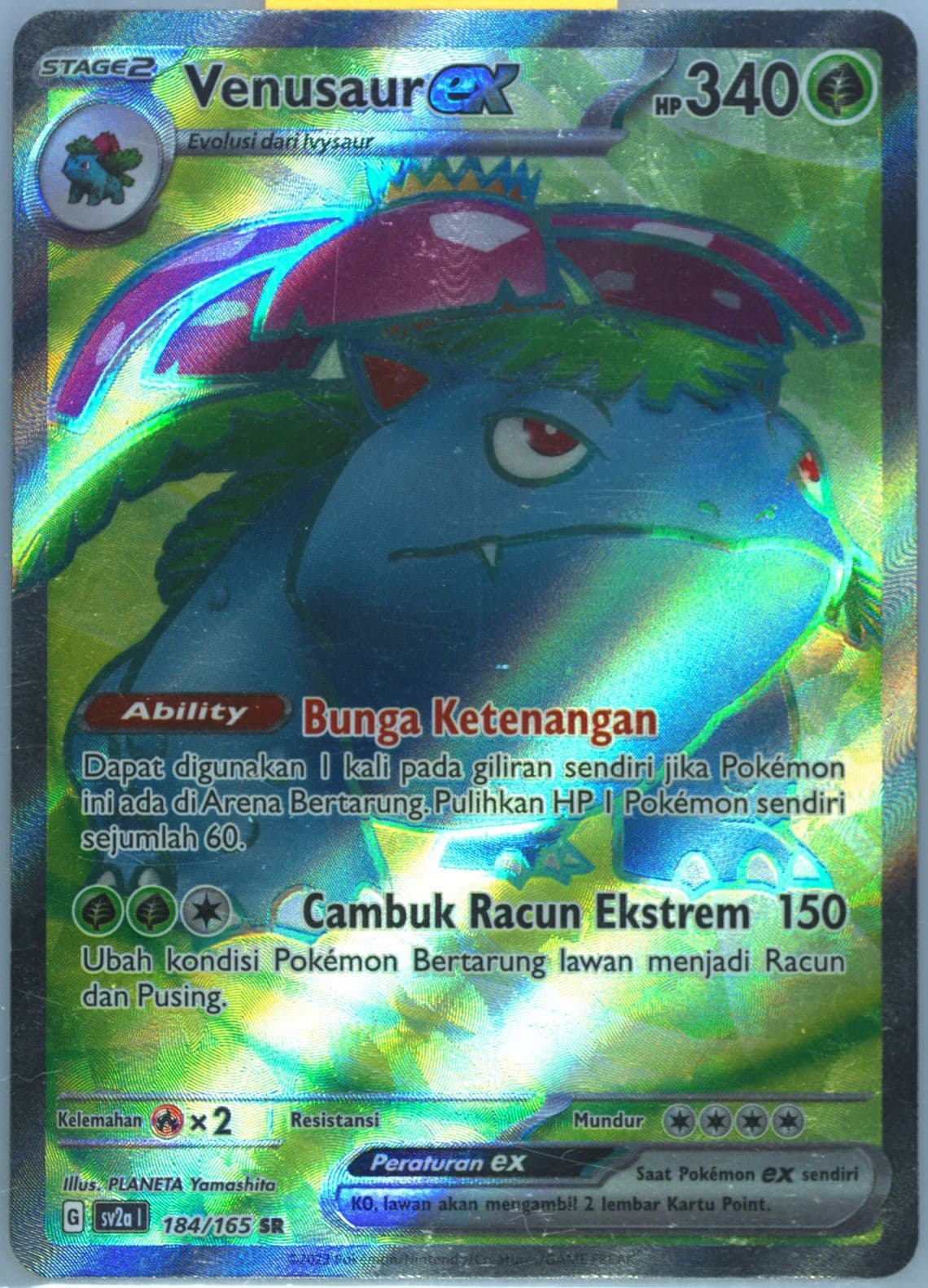 Venusaur EX Super Rare (184) 2023 Pokemon Indonesian Sv2a I-Pokemon 151