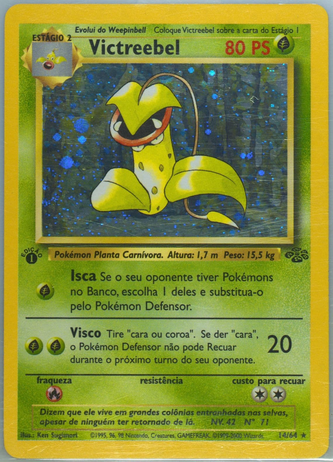 Victreebel-Holo 1st Edition (14) 2000 Pokemon Portuguese Jungle