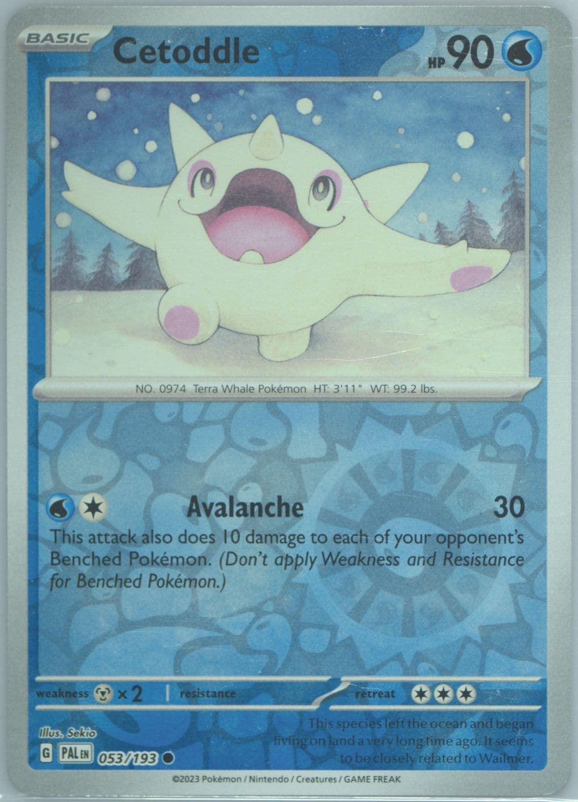 Cetoddle Reverse Holo (053) 2023 Pokemon Pal EN-Paldea Evolved