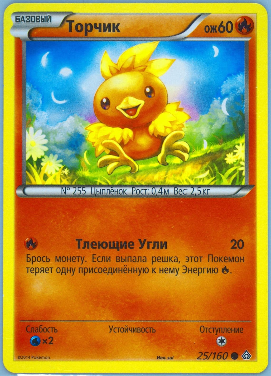 Torchic Russian (25) 2015 Pokemon XY Primal Clash