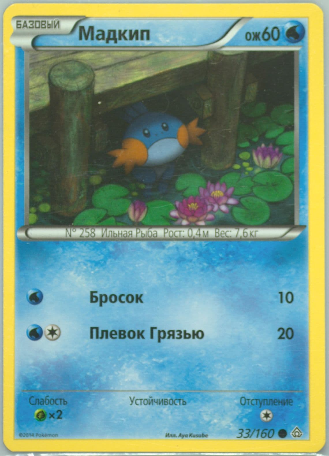 Mudkip Russian (33) 2015 Pokemon XY Primal Clash
