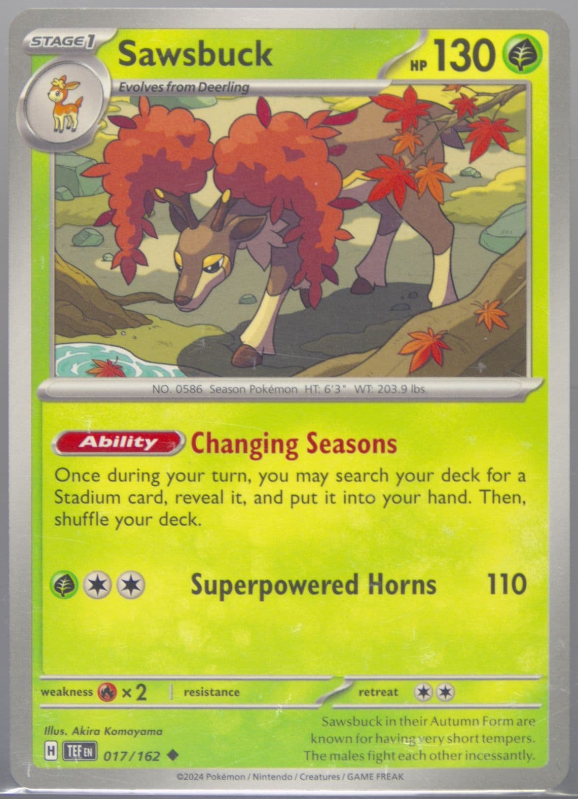 Sawsbuck (017) 2024 Pokemon Tef EN-Temporal Forces