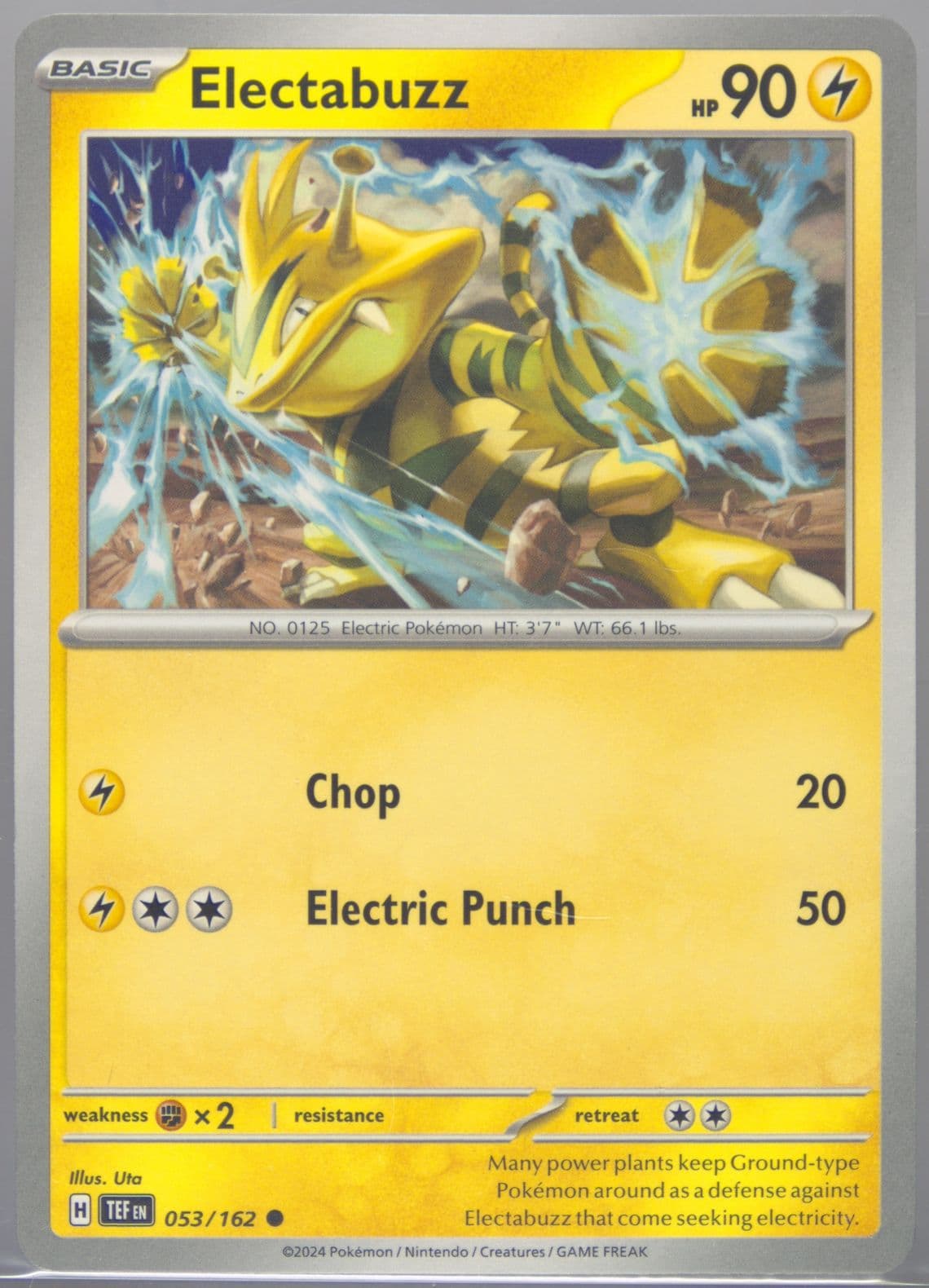 Electabuzz (053) 2024 Pokemon Tef EN-Temporal Forces