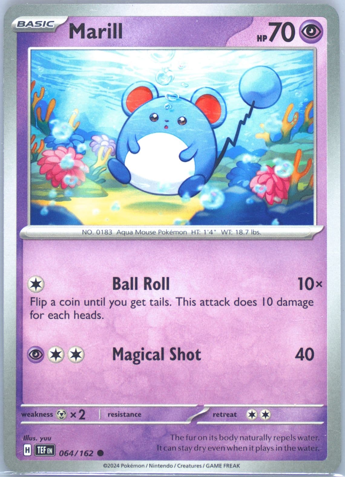 Marill (064) 2024 Pokemon Tef EN-Temporal Forces