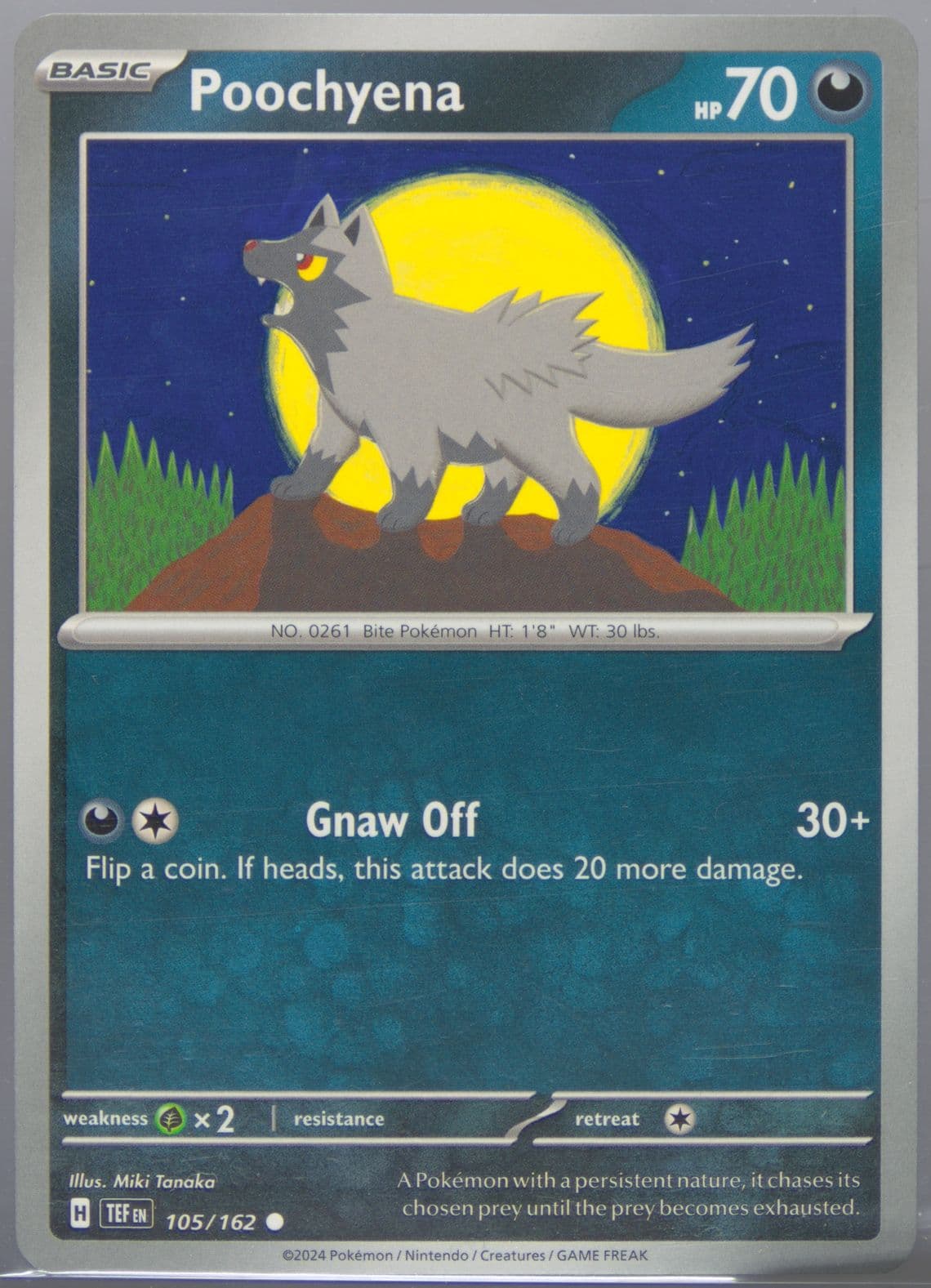 Poochyena (105) 2024 Pokemon Tef EN-Temporal Forces